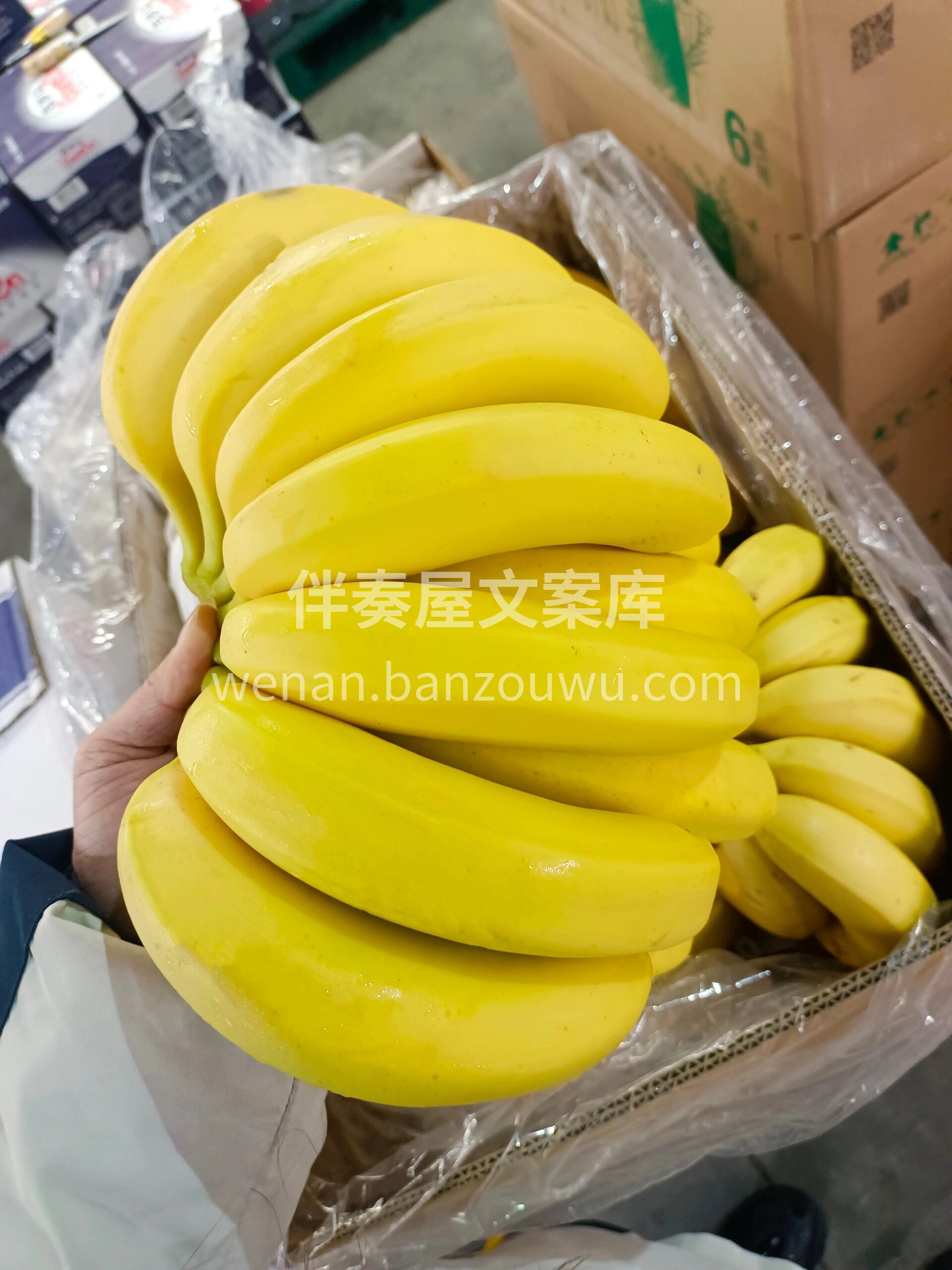 吃一口香甜，享每一份快乐 所见即所得，无 配图2