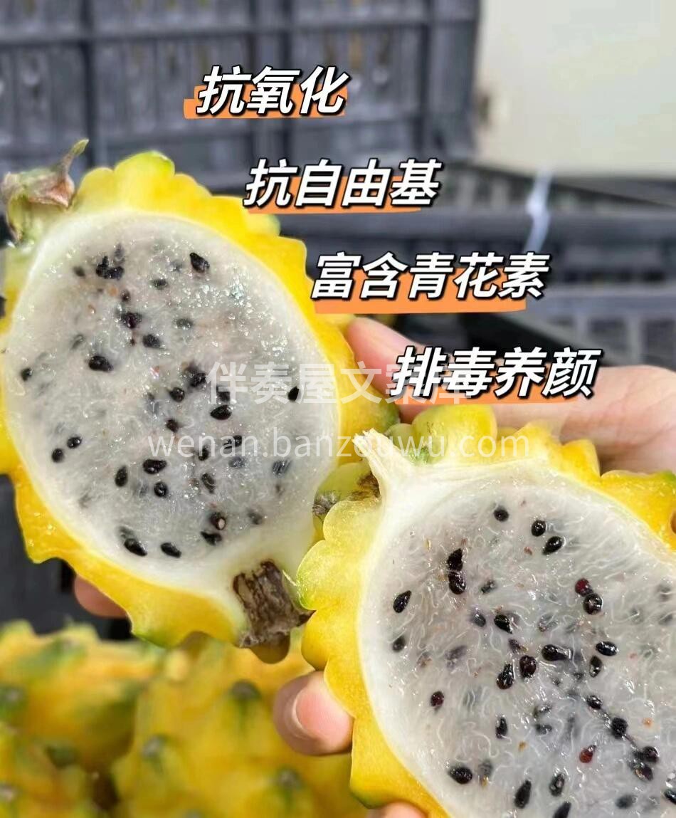 🌴🌴海南燕窝果💚又名“麒麟果”😋世界十大 配图3