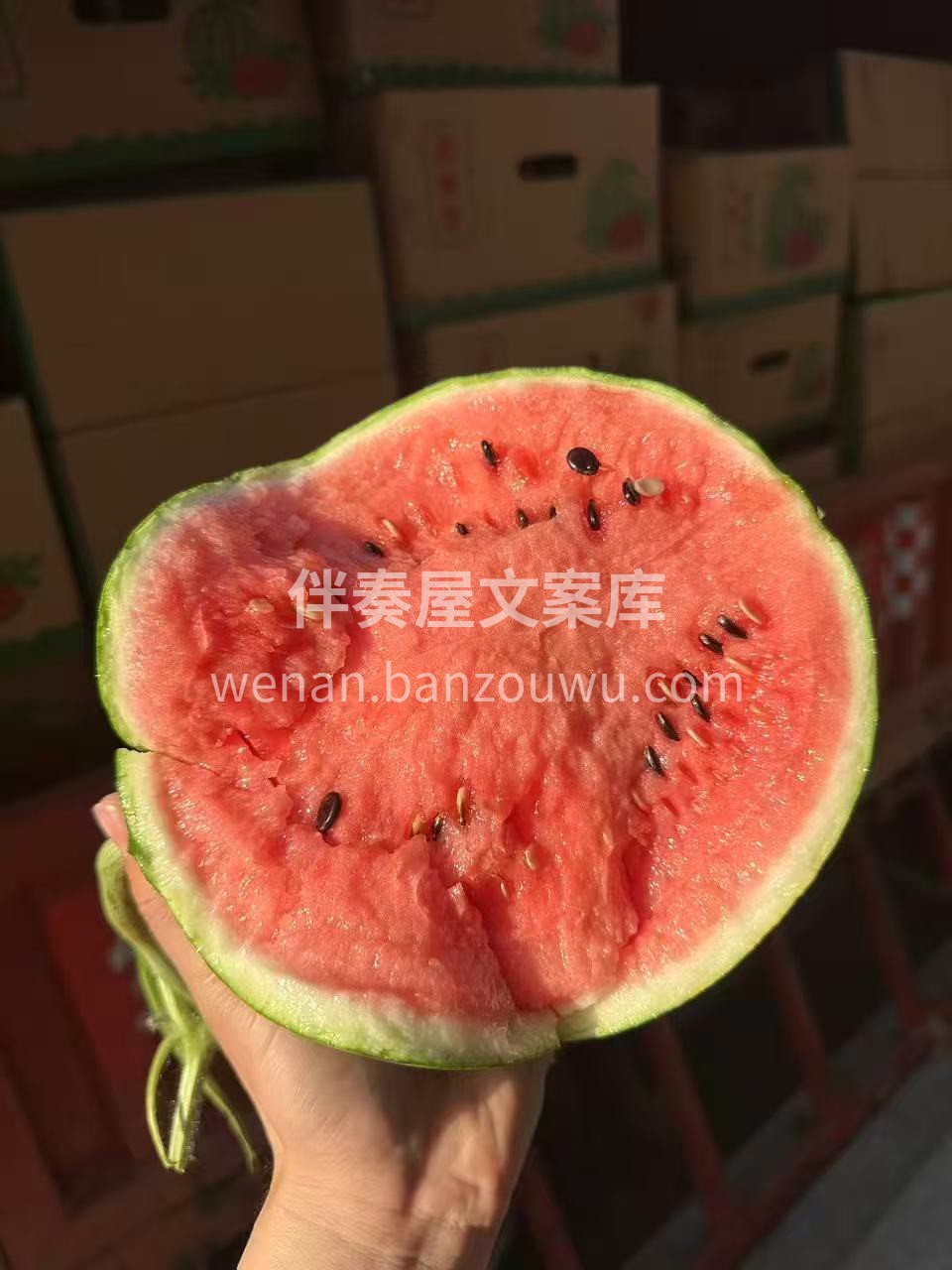 牛逼瓜一出，谁与争锋👍 如果你是一个西瓜 配图2