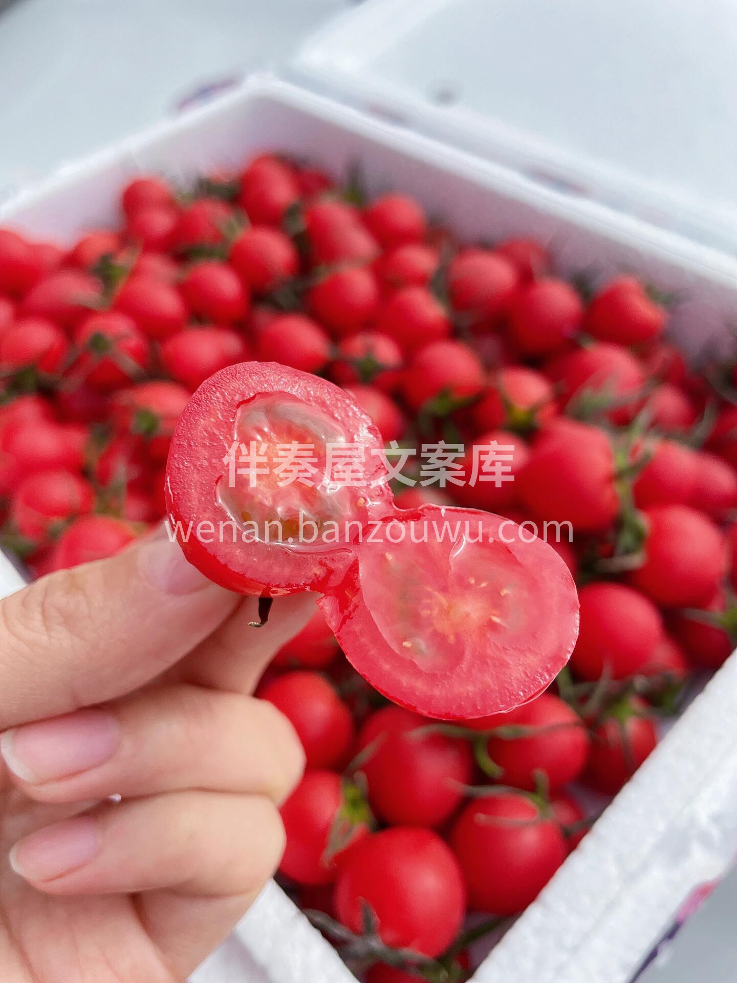 🍅电白千禧真的是一口一个的幸福感🎊 清香 配图2