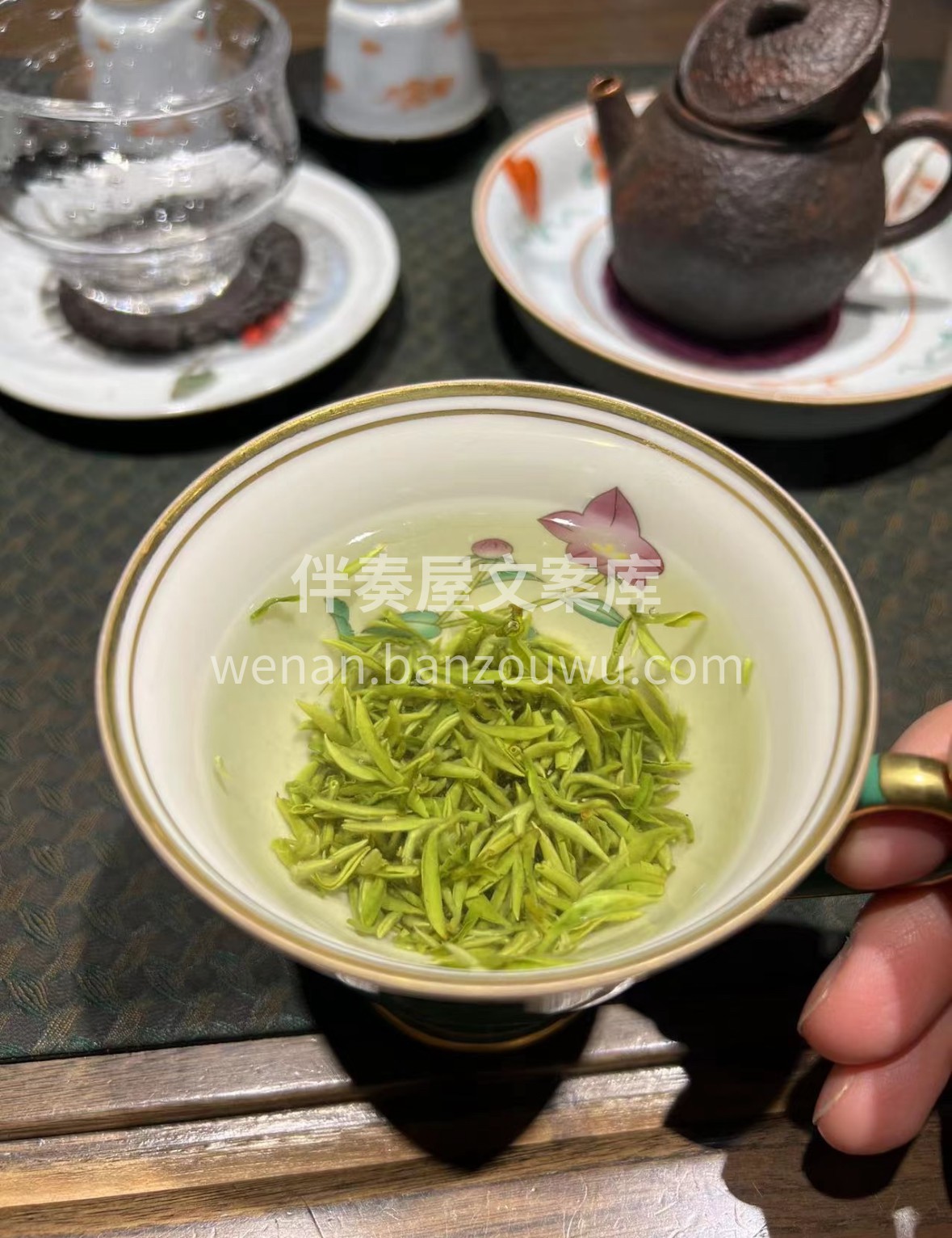 🌿 洞庭山云雾润养，碧螺春条索蜷曲如螺。 配图3