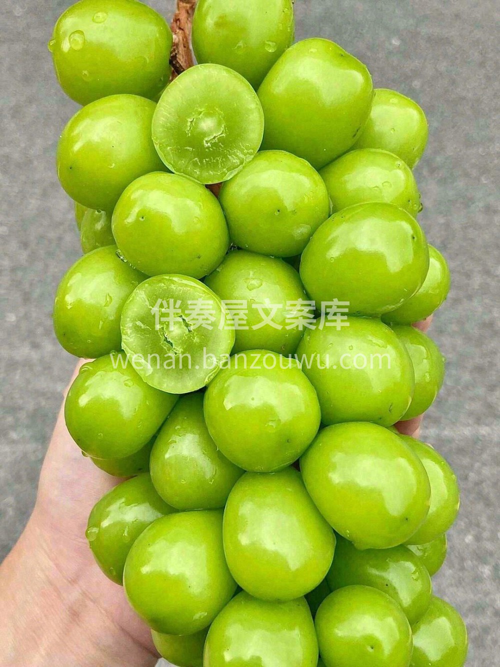 👆能在葡萄界一骑绝尘，光靠美貌是不够的‼ 配图2