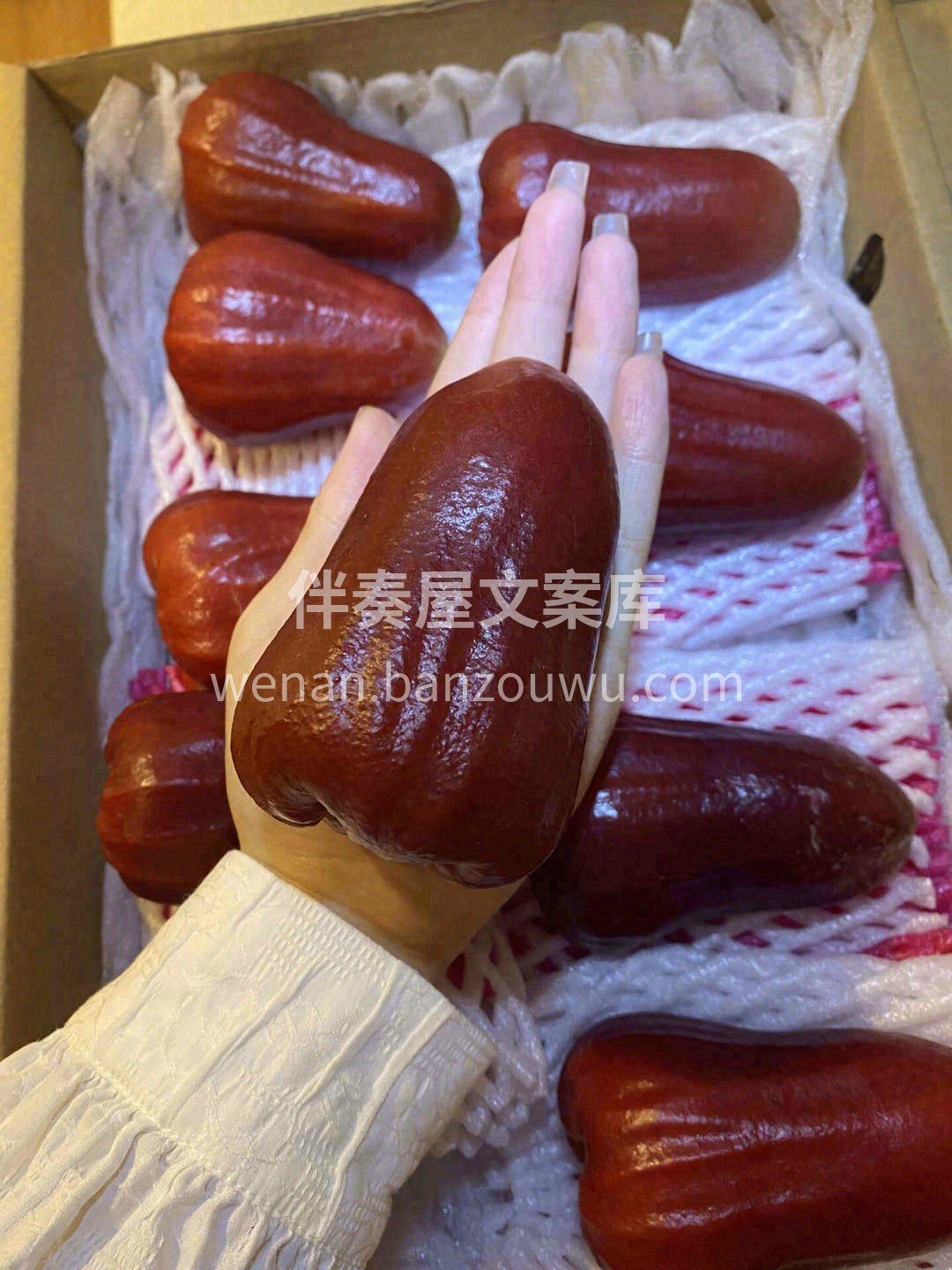 拯救秋天的干燥🍁！ 超甜、超水润的黑金刚 配图1