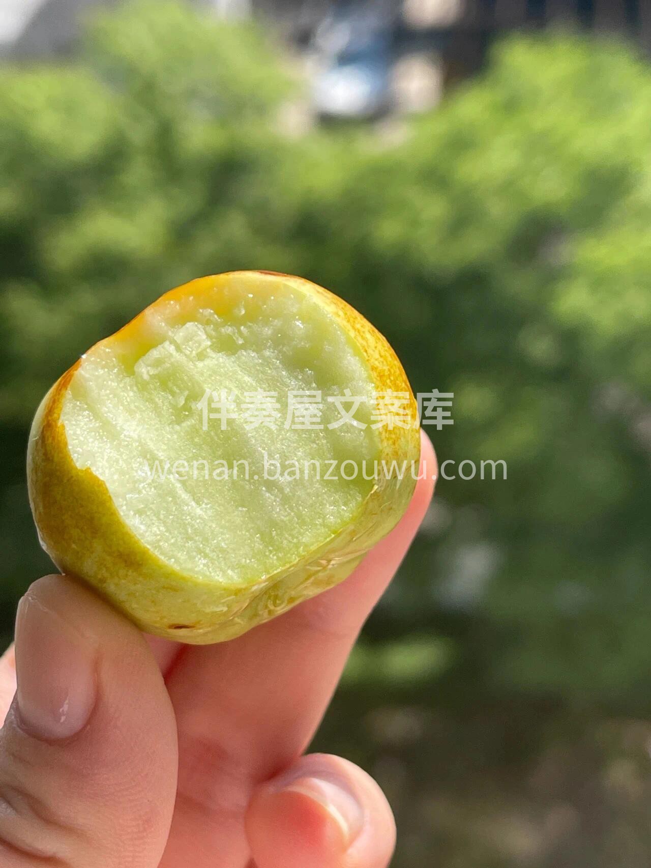 云南蟠枣替大家尝过了，口感真的很不错👍  配图1