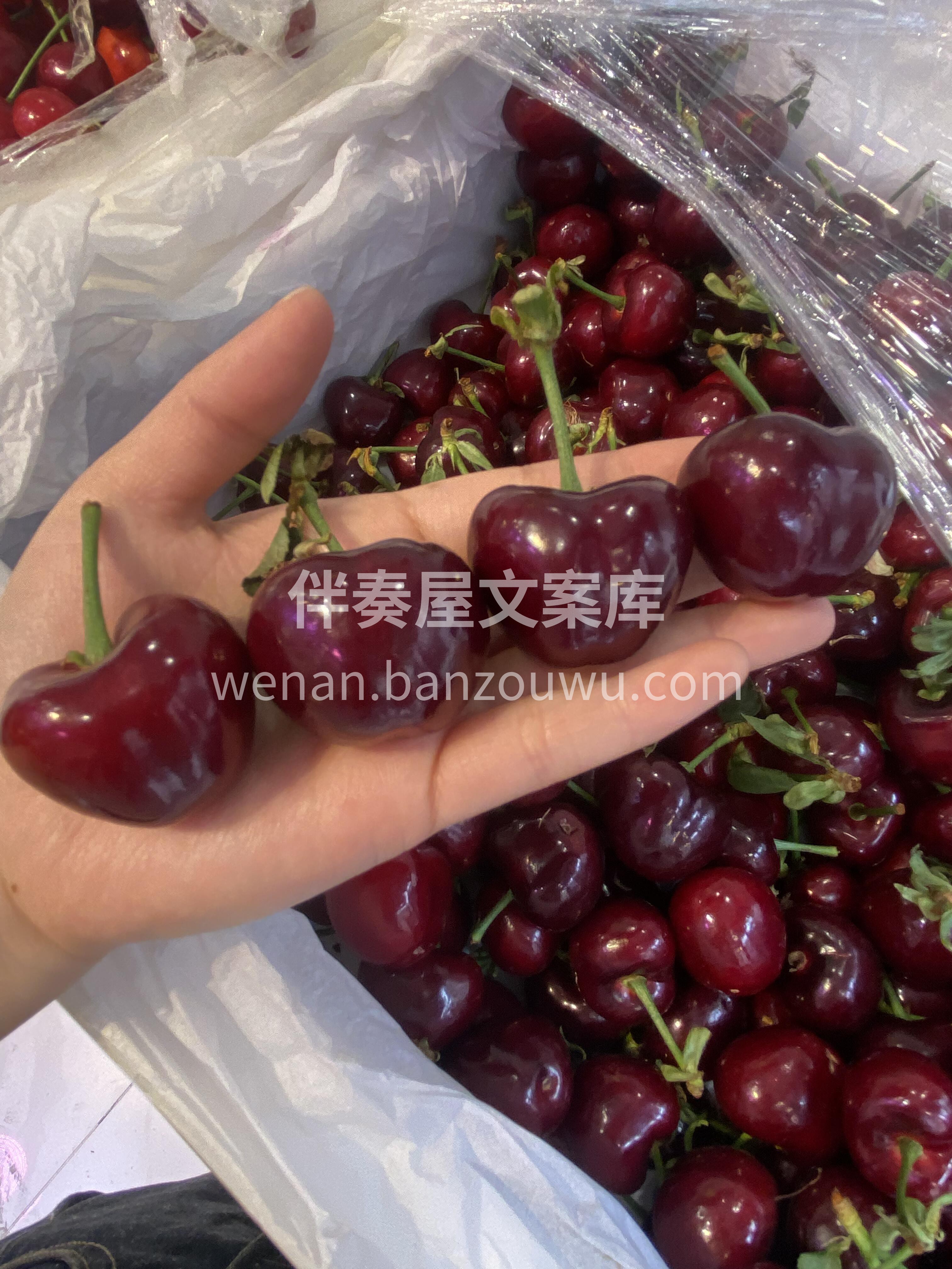 “一年四季的馋，周而复始的吃。” 食物就 配图1