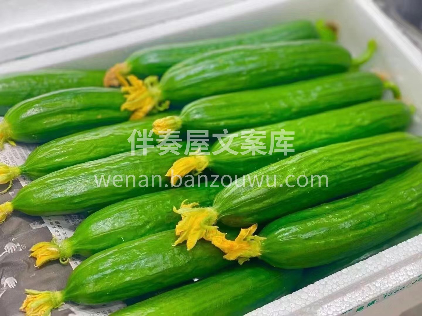 🍭🍭今日推荐【水果黄瓜🥒】 又脆又清爽， 配图1