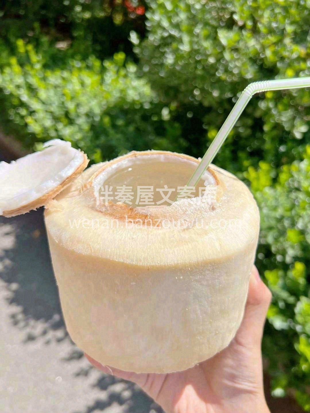 🏝️椰子香香甜甜，新鲜到货🎉🎉 一款纯天