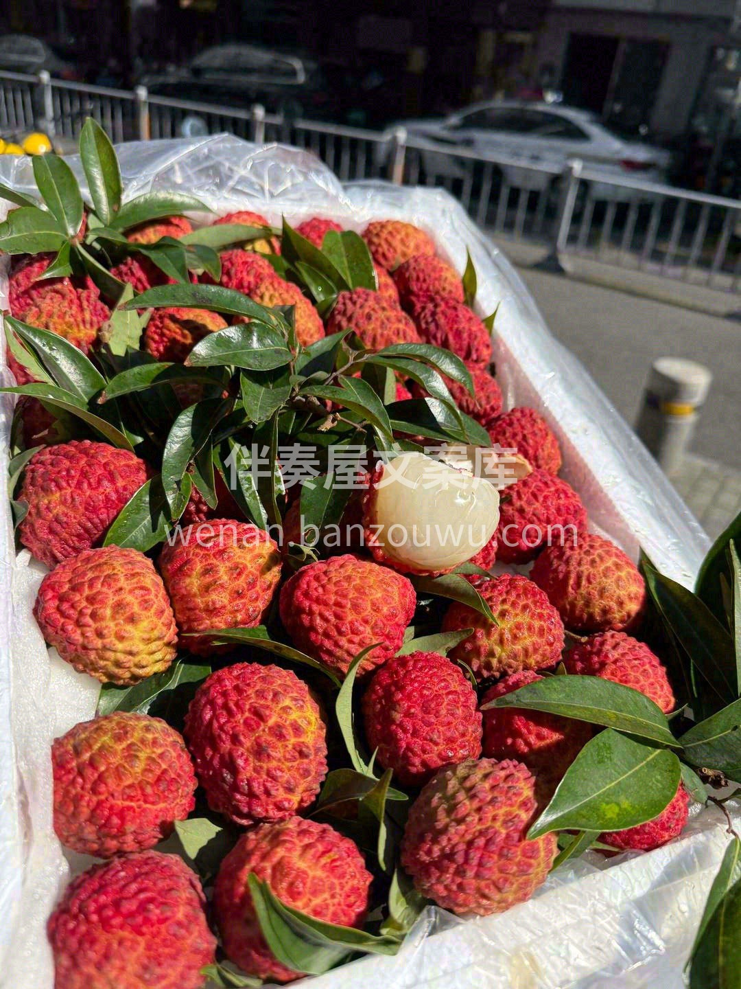 超厚实的果肉biu地蹦出💥 鲜嫩多汁令人 配图3