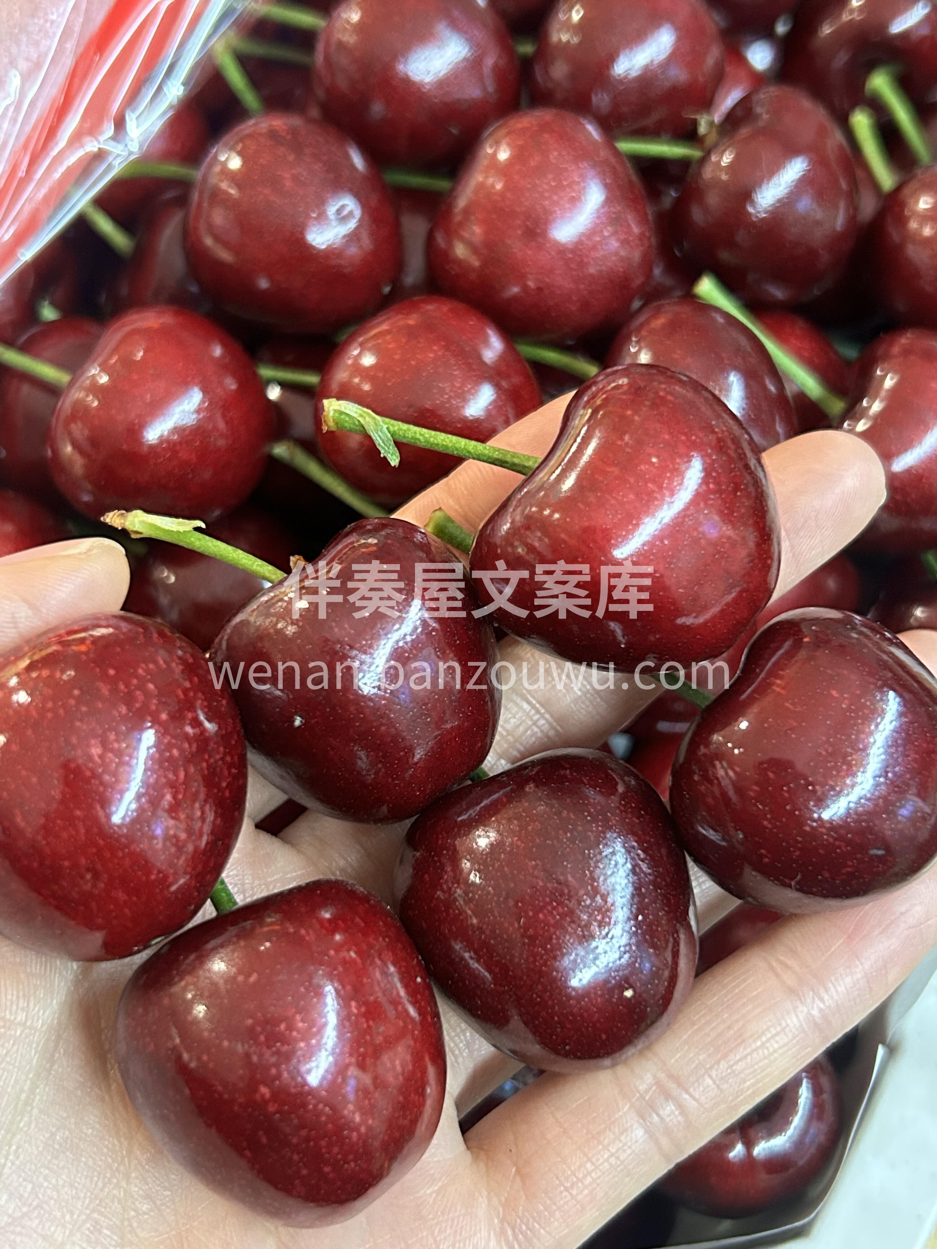 一口一个大樱桃🍒 因为这颗樱桃大到，一口 配图3