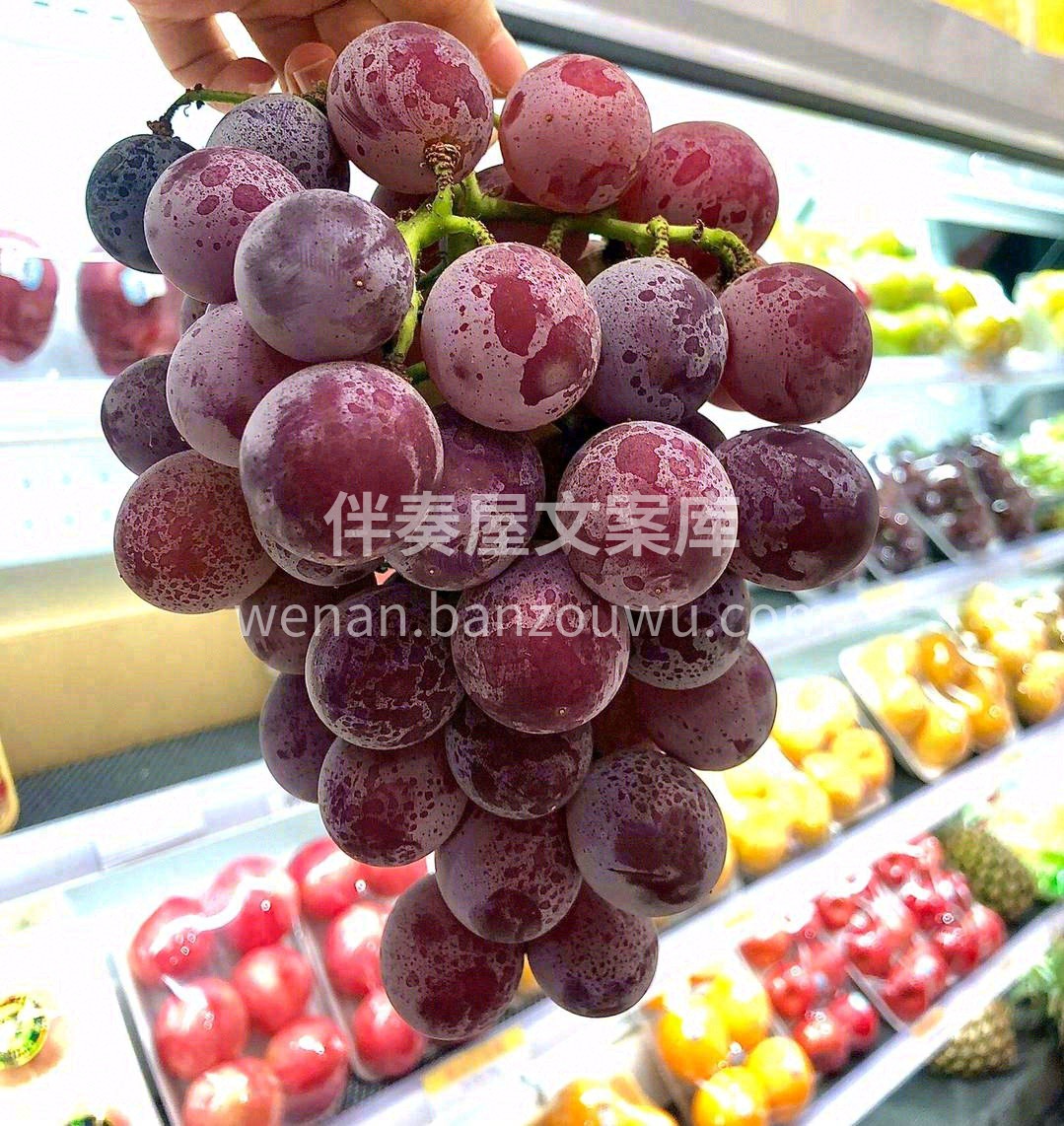 🍇果皮厚，果粉多，果肉较软， 😋味甜，多 配图1