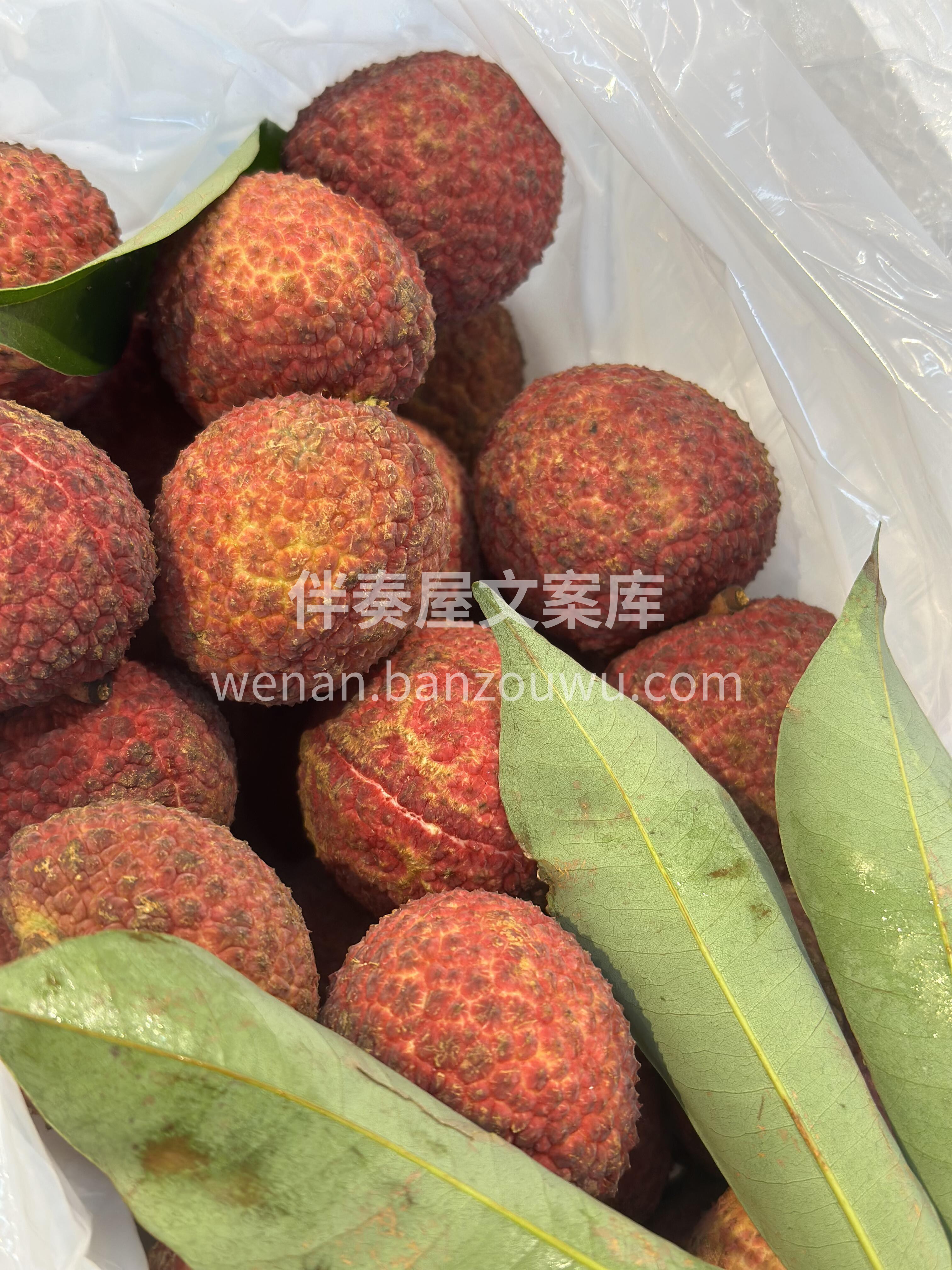 尝遍千万果 ，独爱荔枝甜😋 吃在嘴里 ， 配图3