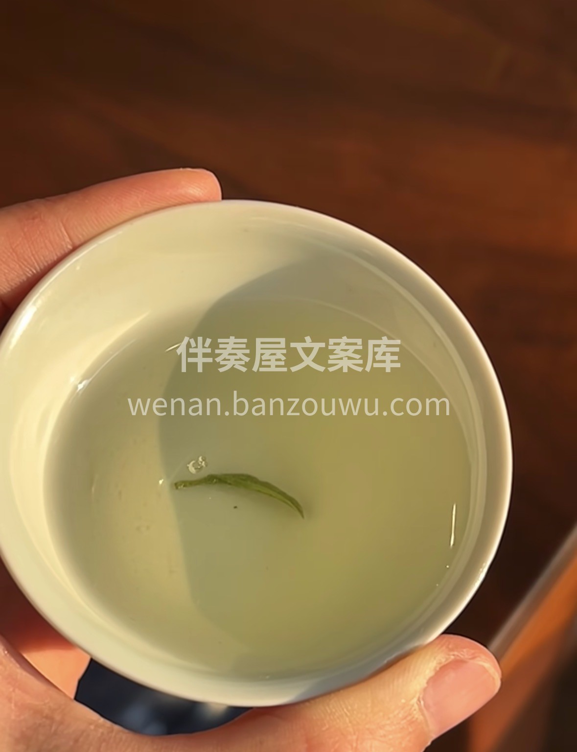🍵春日限定好茶｜正宗信阳毛尖 高山云雾生 配图3