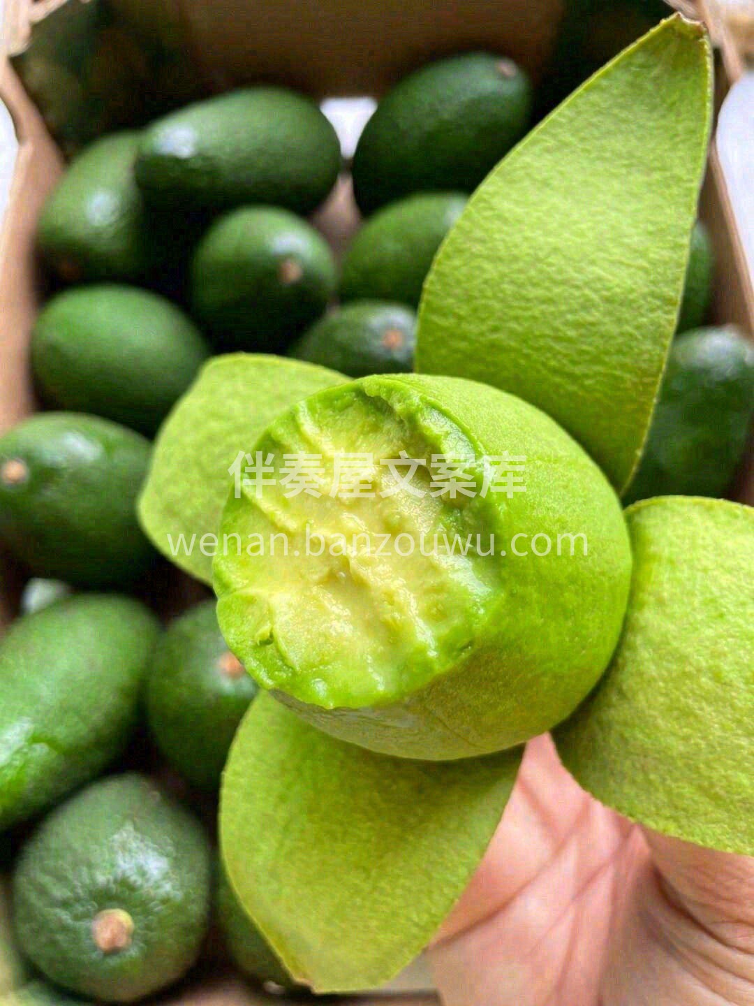 一天一颗牛油果🥑🥑营养超全面 喜欢牛油果 配图1