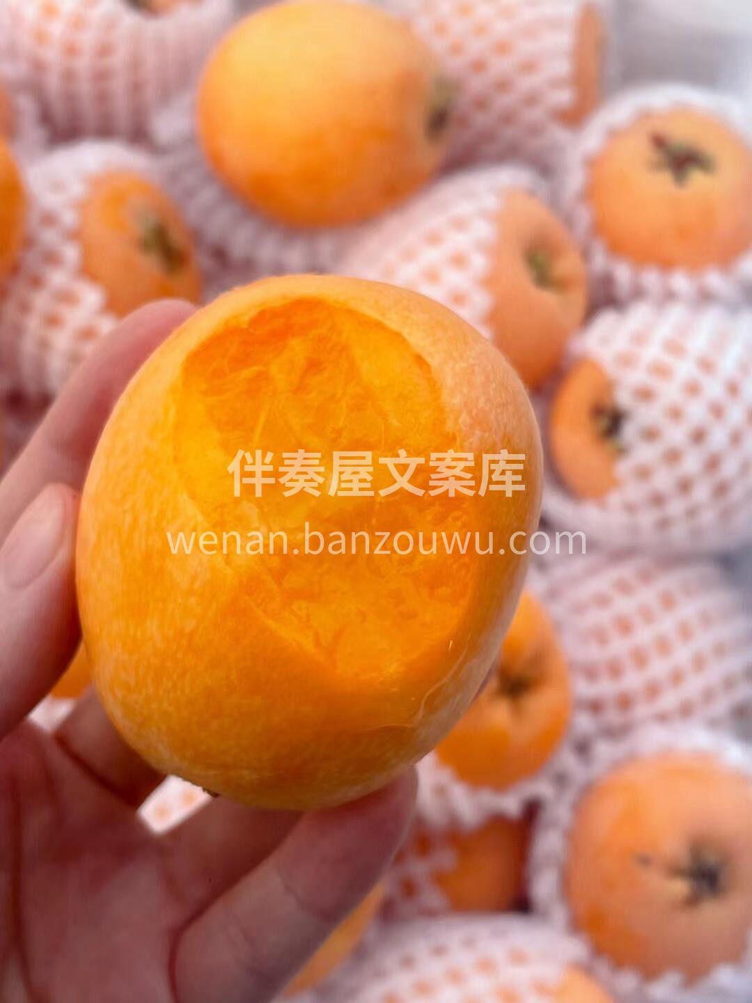 枇杷，是双润的味道🧡 快来抢占这第一口甜 配图1