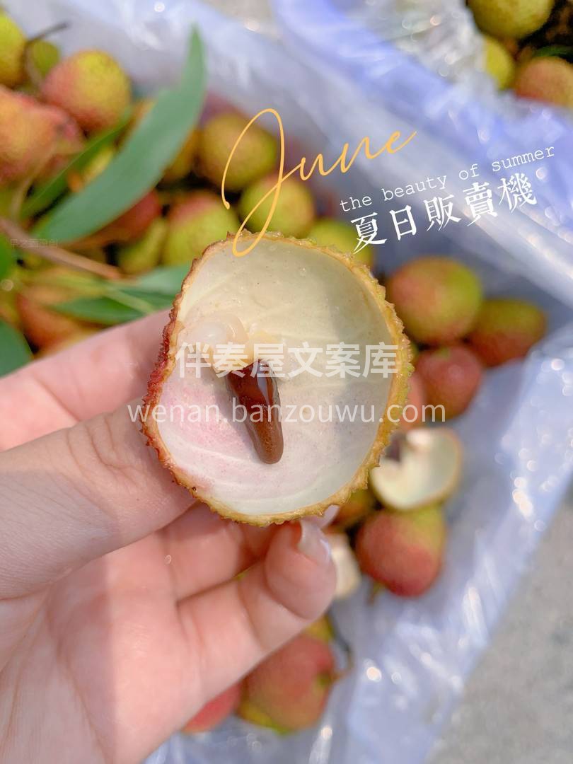 广东妃子笑色泽鲜艳，果肉细嫩爽脆，入口清 配图3