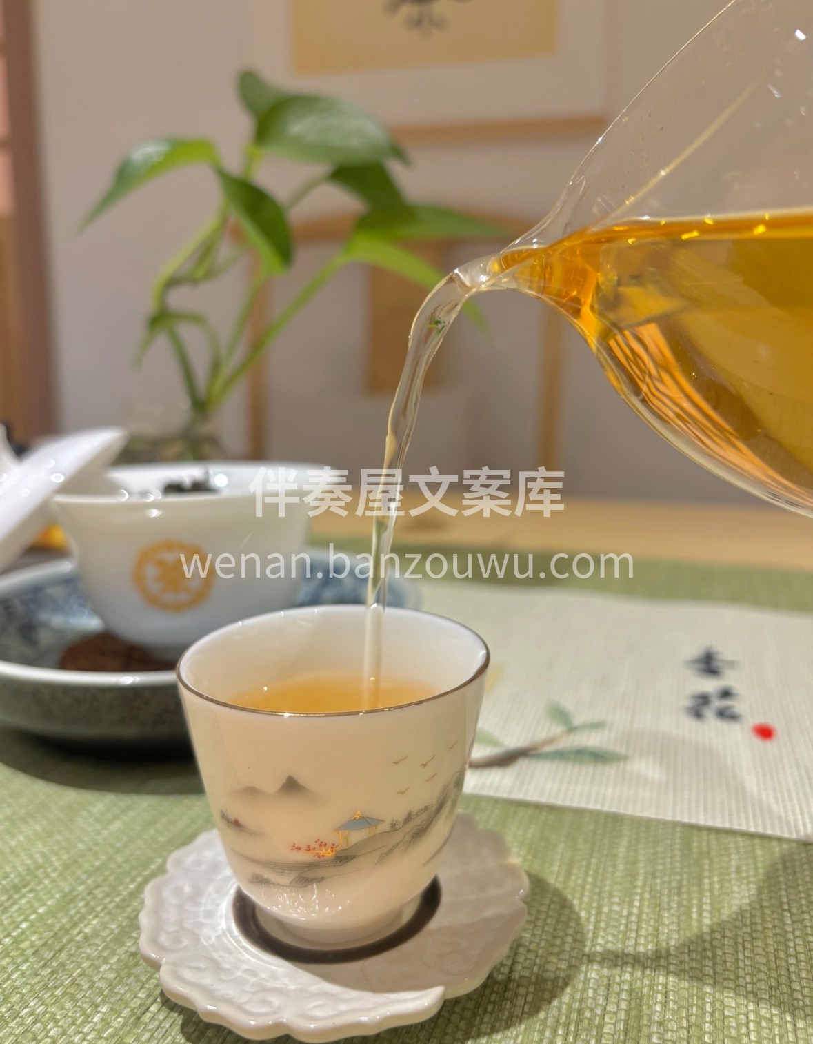 寻一味铁观音，赴一场味蕾雅集。干茶墨绿带 配图3