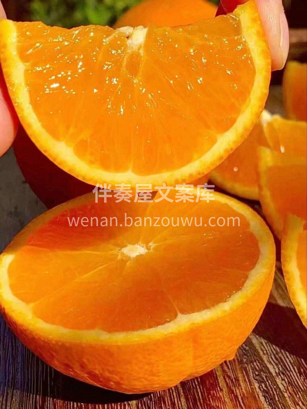 伦晚甜橙🍊你也许会忘记它的甘甜🍭但绝不会 配图3