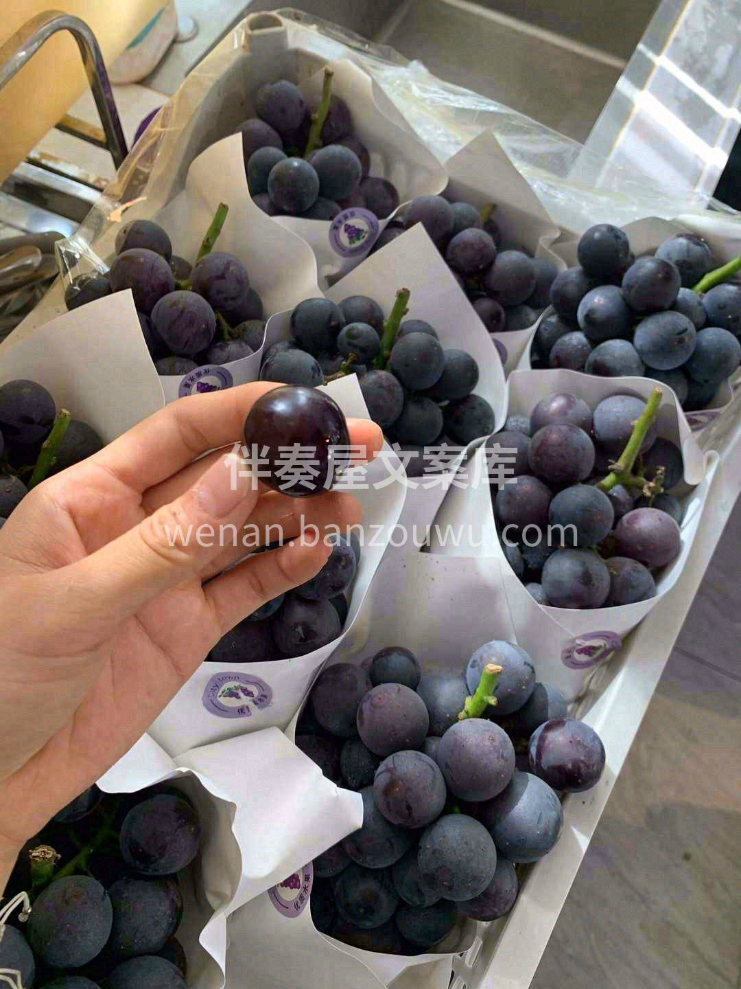 巨峰葡萄——正儿八经小时的葡萄味🍇 一口 配图1
