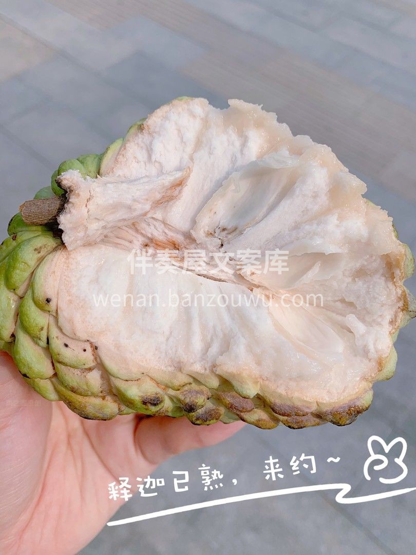 🍃释迦果肉每一瓣都是那么的甜美 那“甜” 配图3