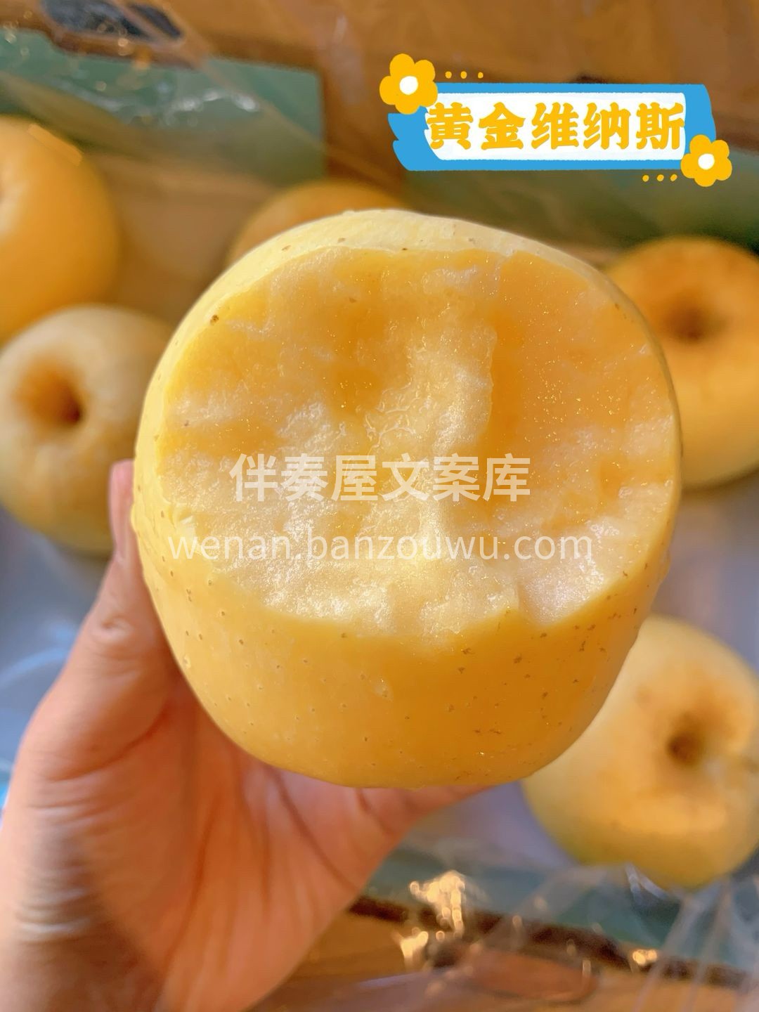 “锈”外慧中👙的维纳斯金果，品种起源于日 配图1
