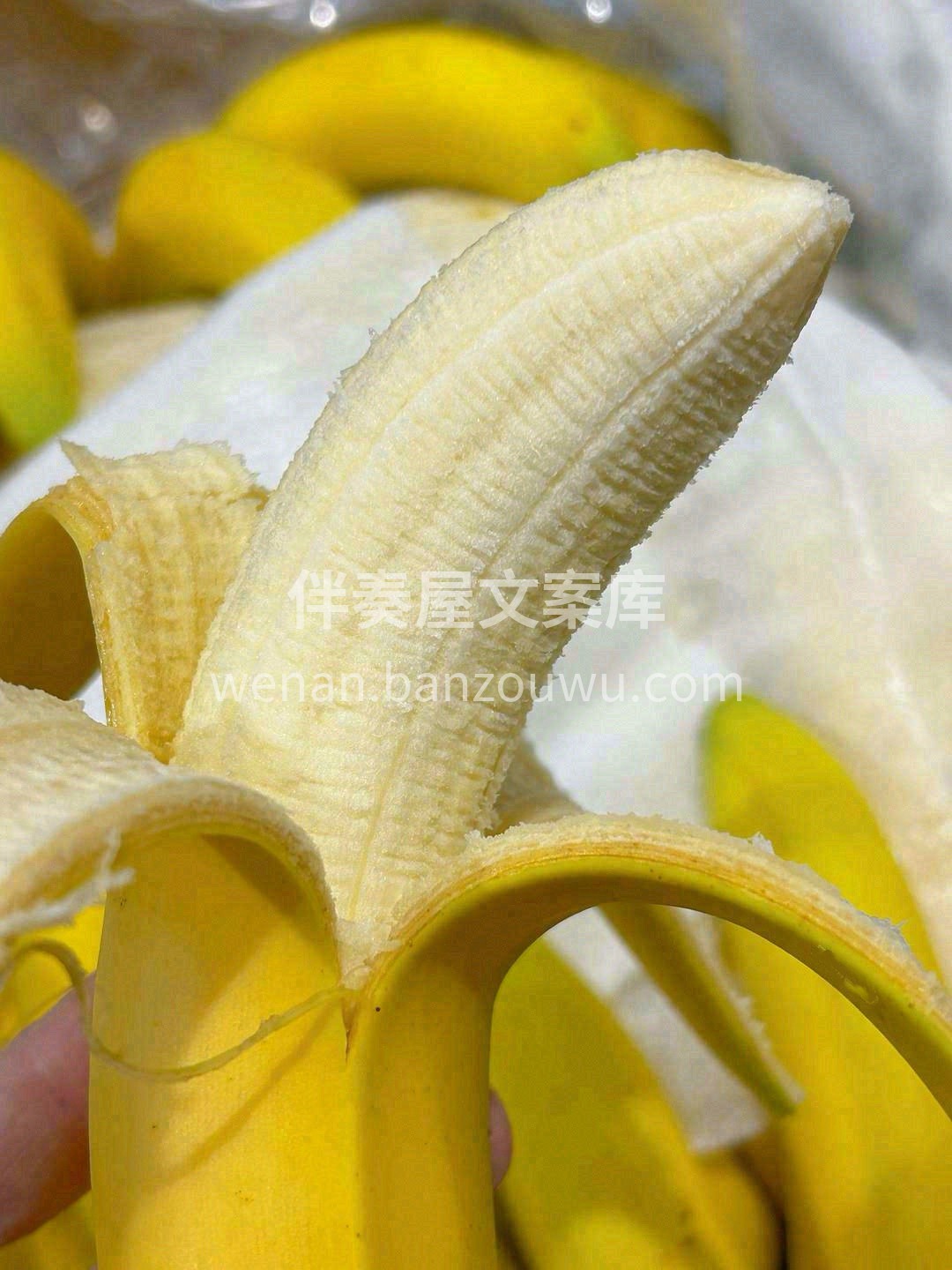 小小的个头里包裹着一颗香甜的心🍭🍭 每一 配图2