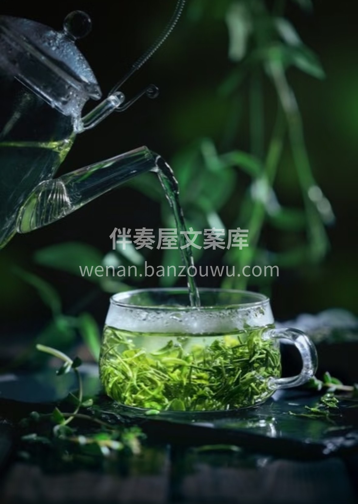 采恩施云雾，承千年蒸青。一杯玉露，茶汤清 配图1
