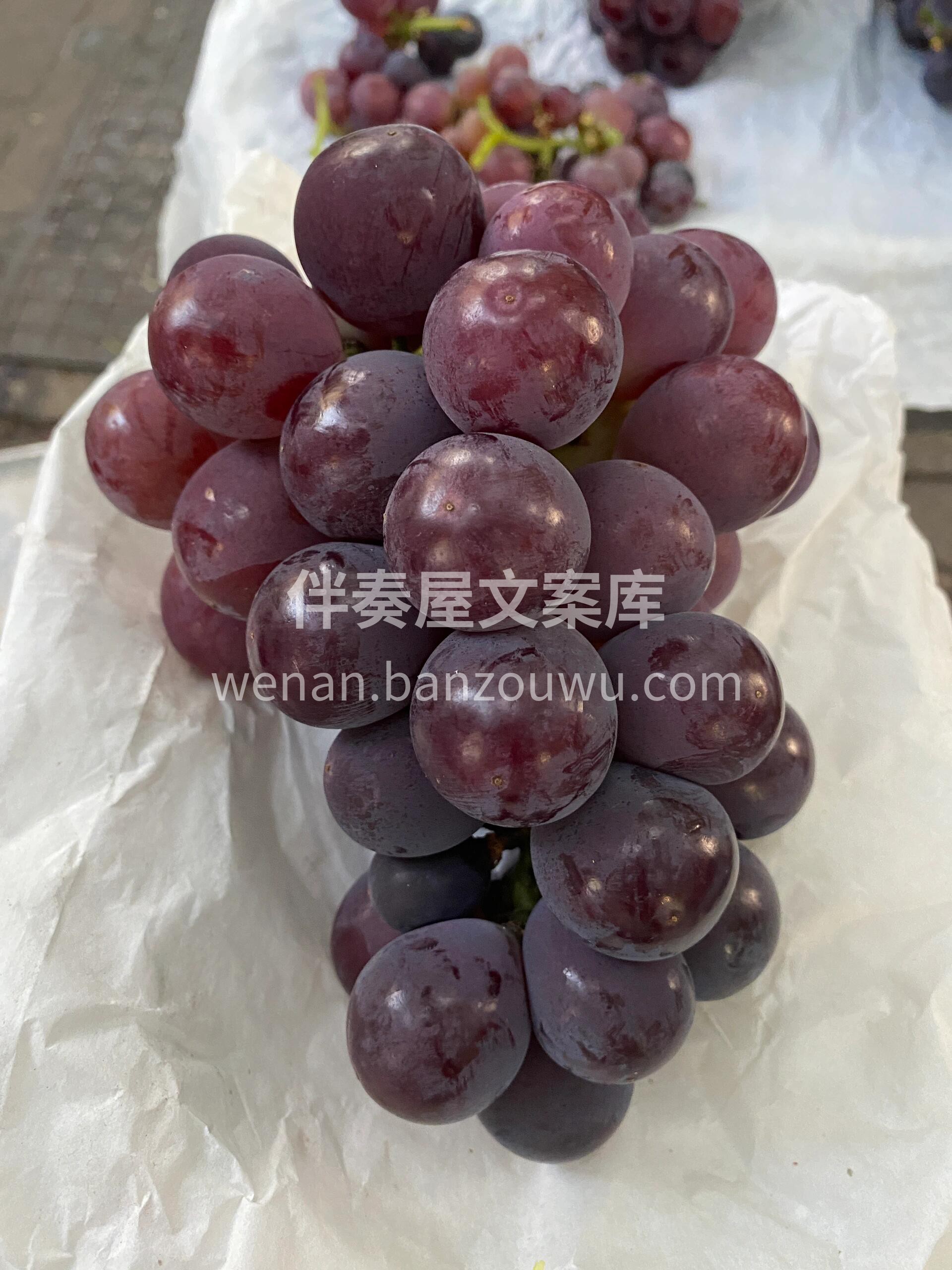 到新🆕-户太葡萄🍇 💁果粒紧凑，果粒大👍 配图3