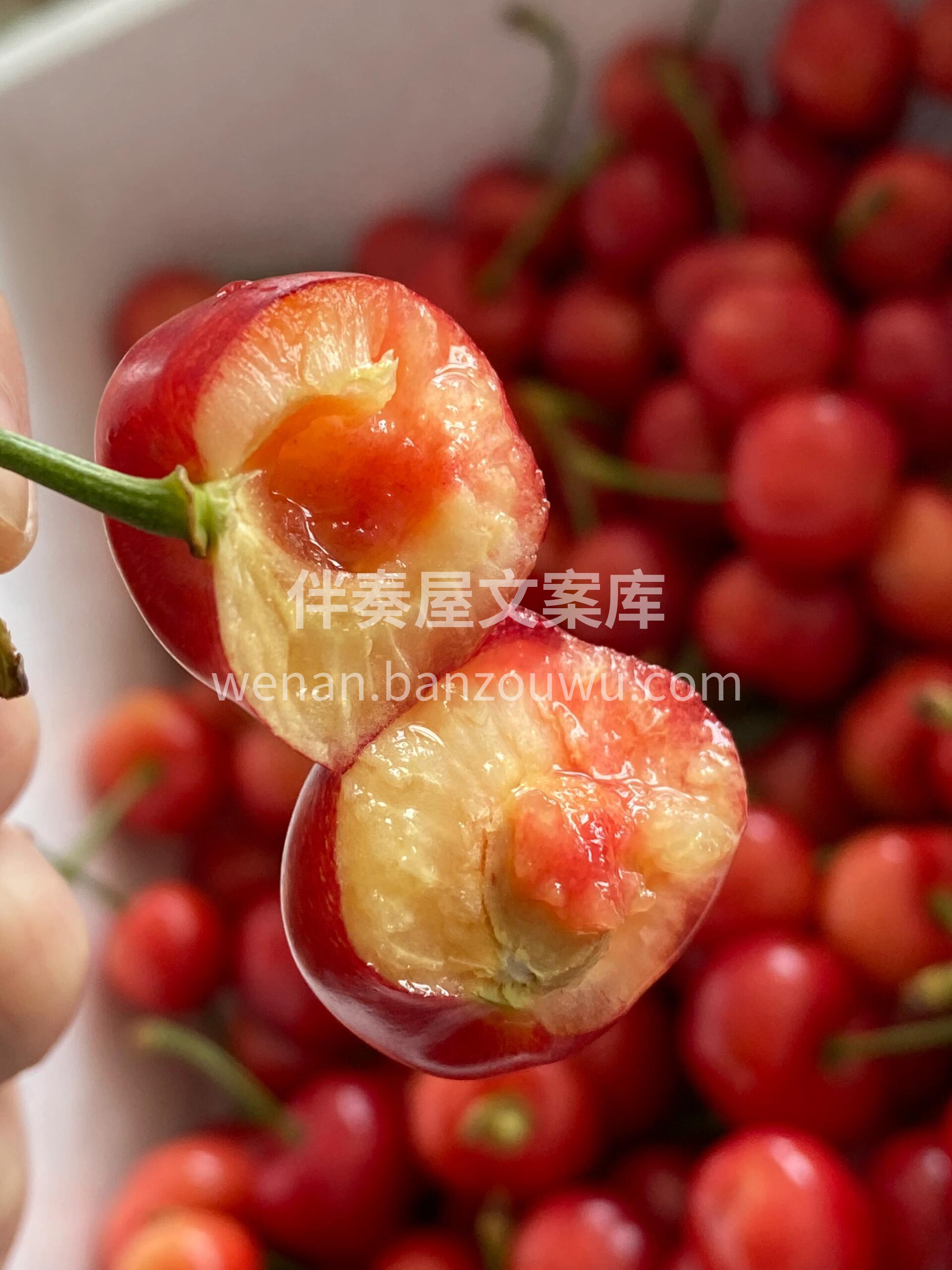 “布鲁克斯”黄樱桃🍒 基地直摘🍃“樱”为 配图3