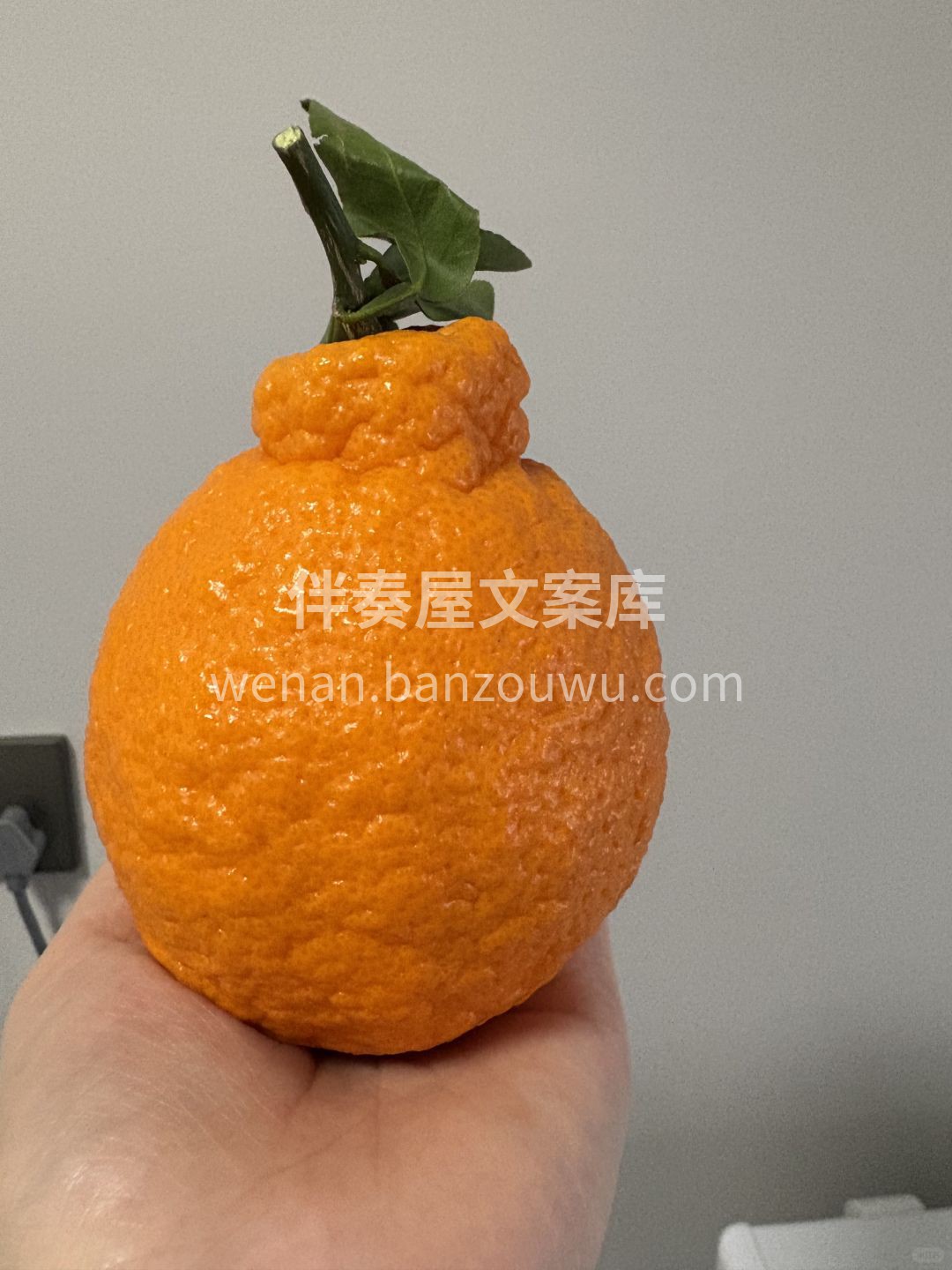 🍊 丑橘太不丑了，剥开超香超甜 果肉饱满 配图3