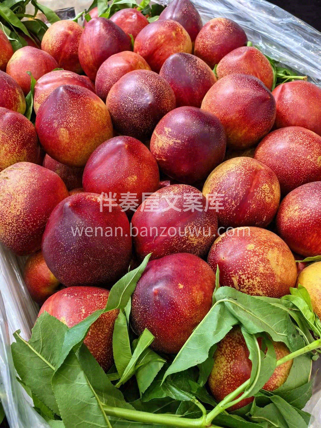 🍑脸颊红彤彤，黄澄澄的肉却爆甜🍭 果肉在