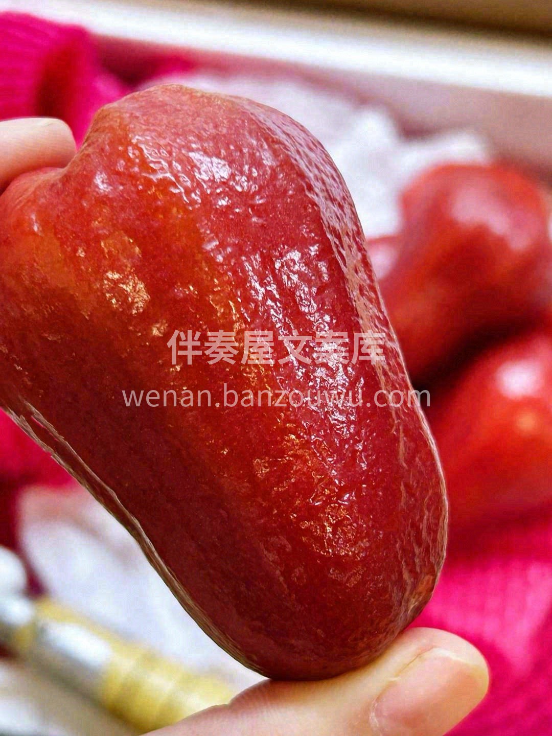 树上的矿泉水🧚，天然的巨型“洗肺机”💧💧 配图3