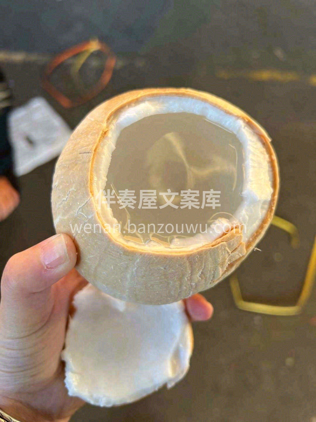 ✈️漂洋过海的奶香椰皇，每一口都是甜甜甜 配图1