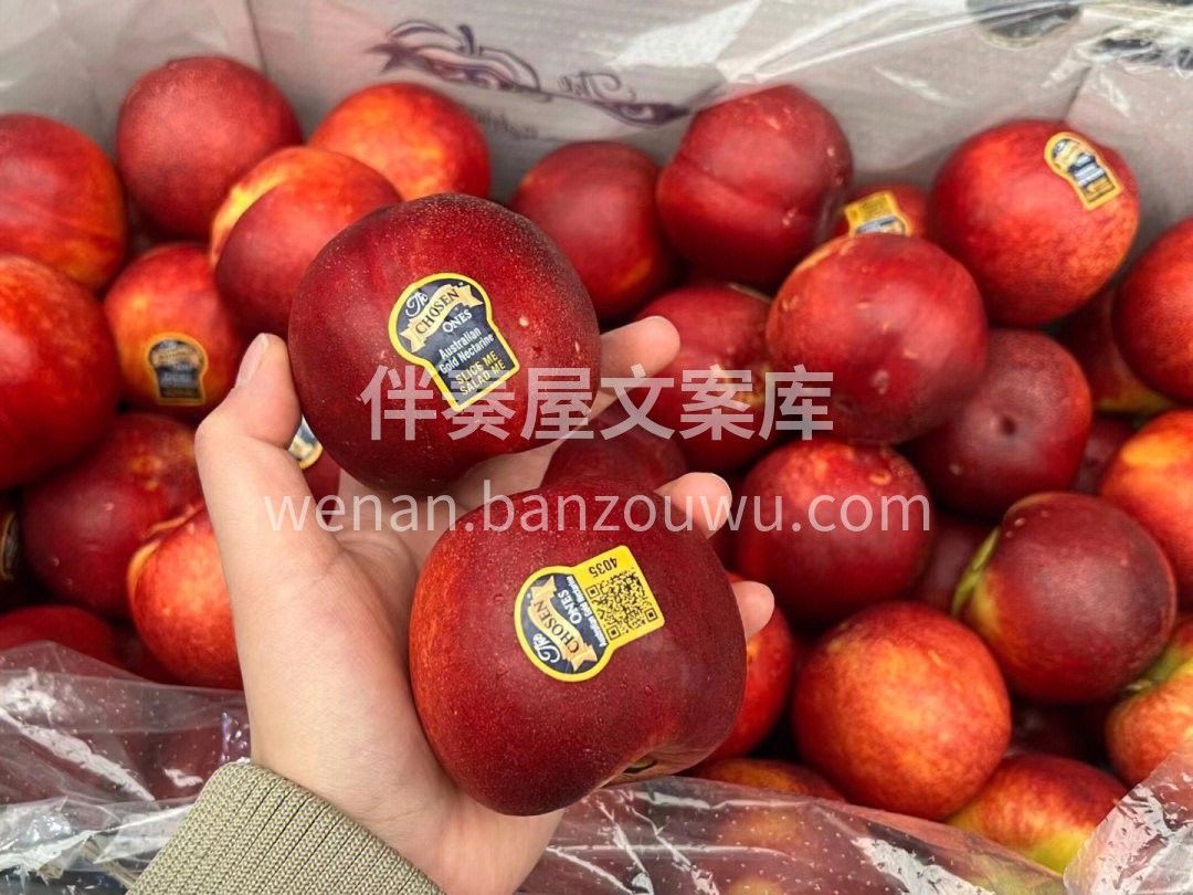 澳洲·chosen金腰带黄肉油桃🍑顶级货 配图3