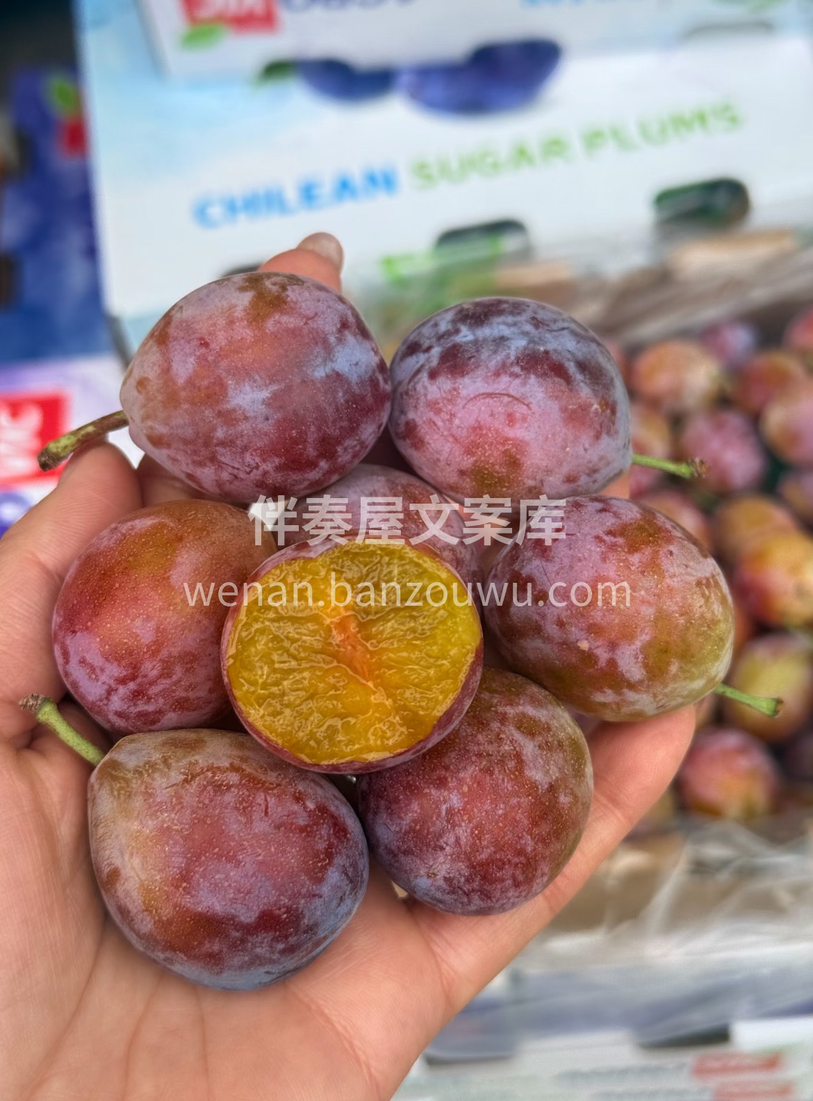 🌻新鲜西梅上架啦‼️ 清甜不腻的口感让人 配图2