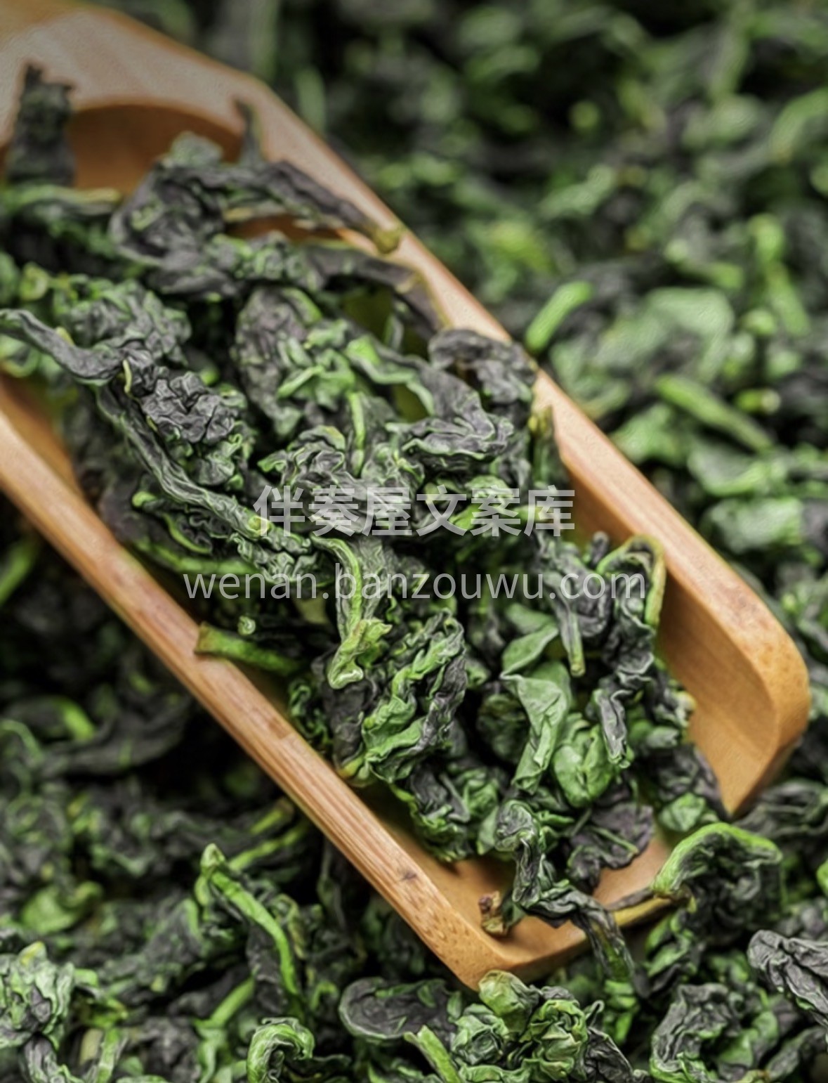 岁日常备好茶｜精选特级铁观音🍵 条索紧结 配图1