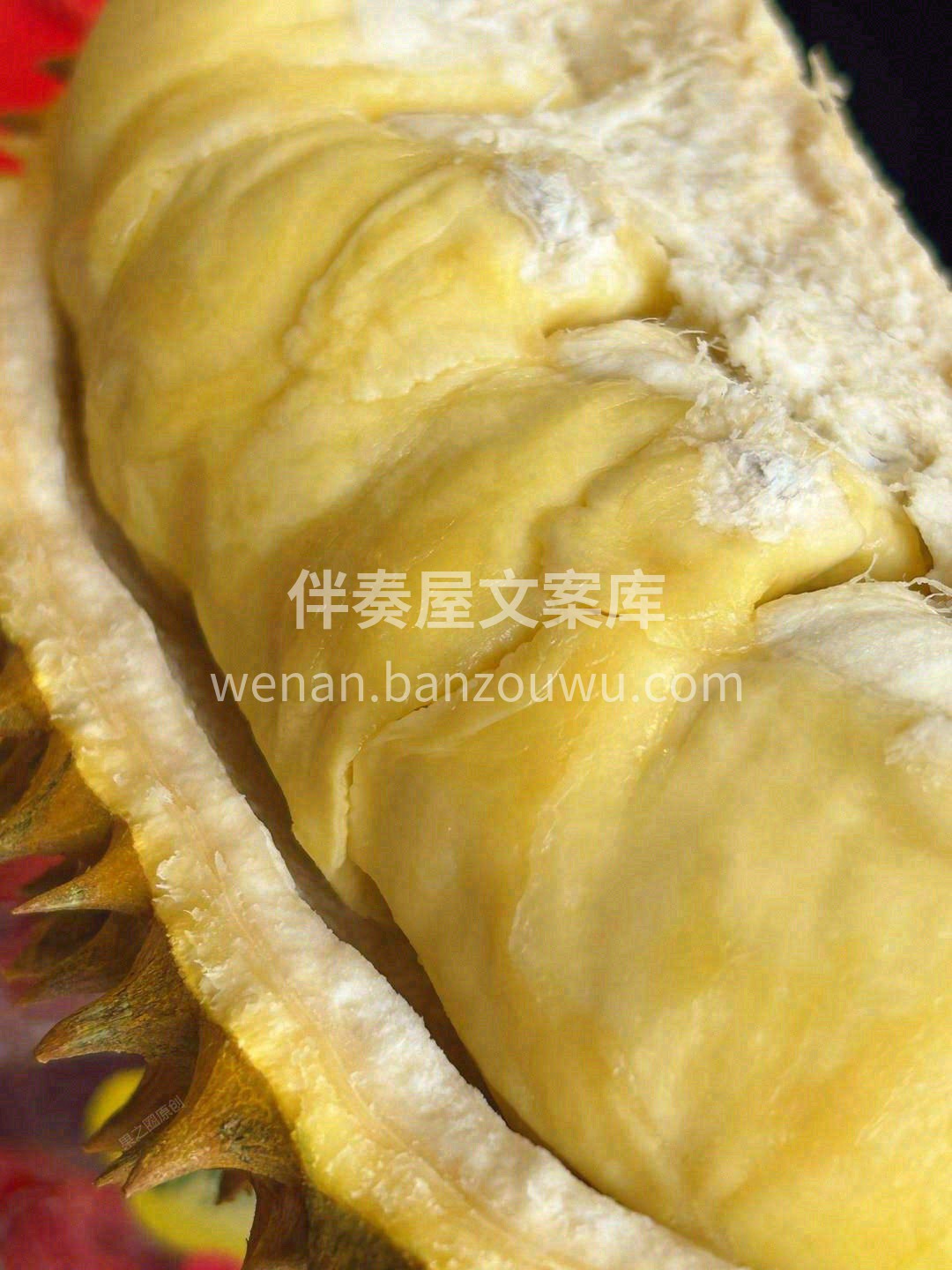 🌳树上熟，干包黄肉，金黄饱满🌕 浓香四溢 配图1