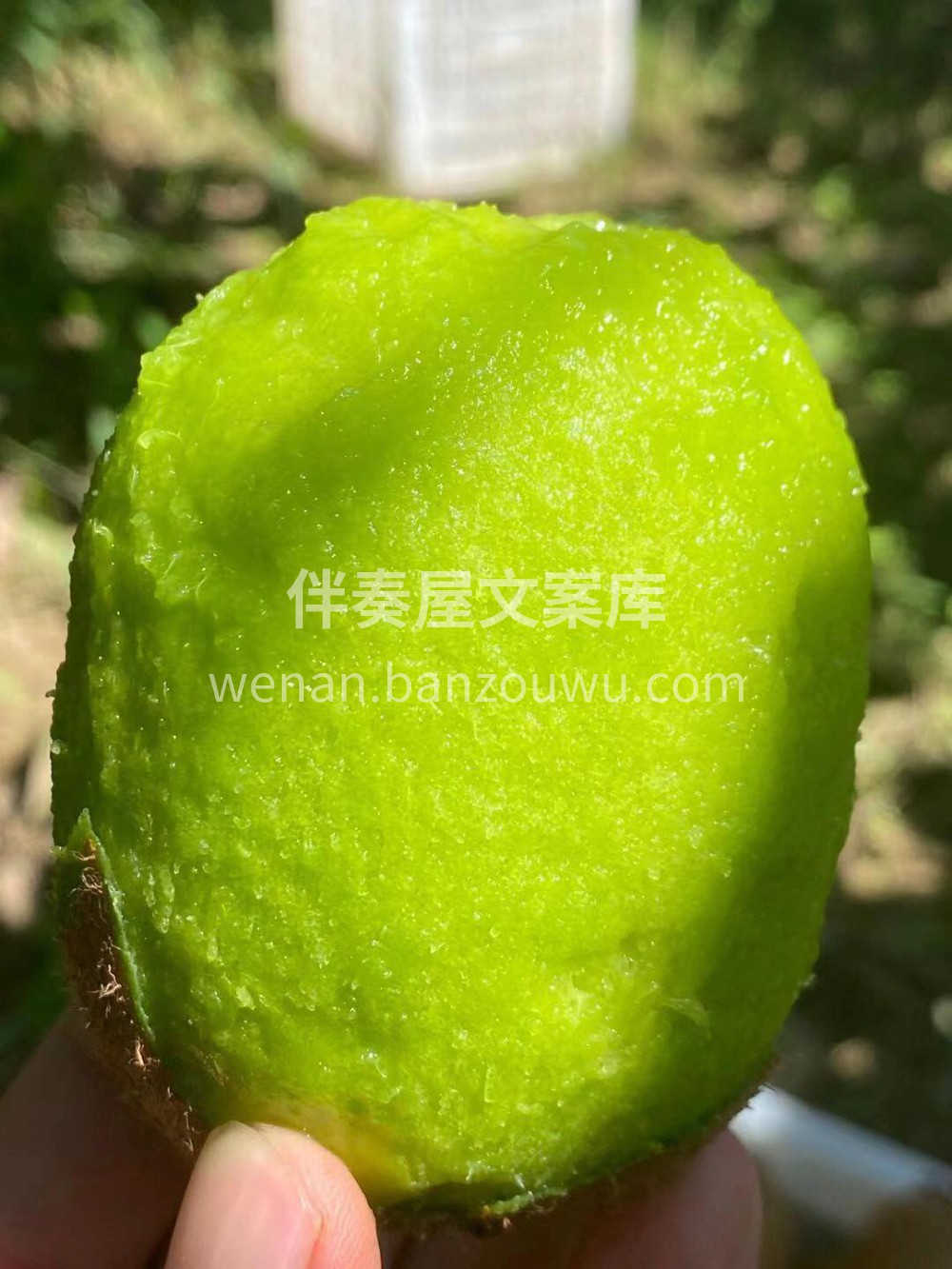 🥝此刻只想来颗猕猴桃必须是水水的甜甜的🍭 配图3