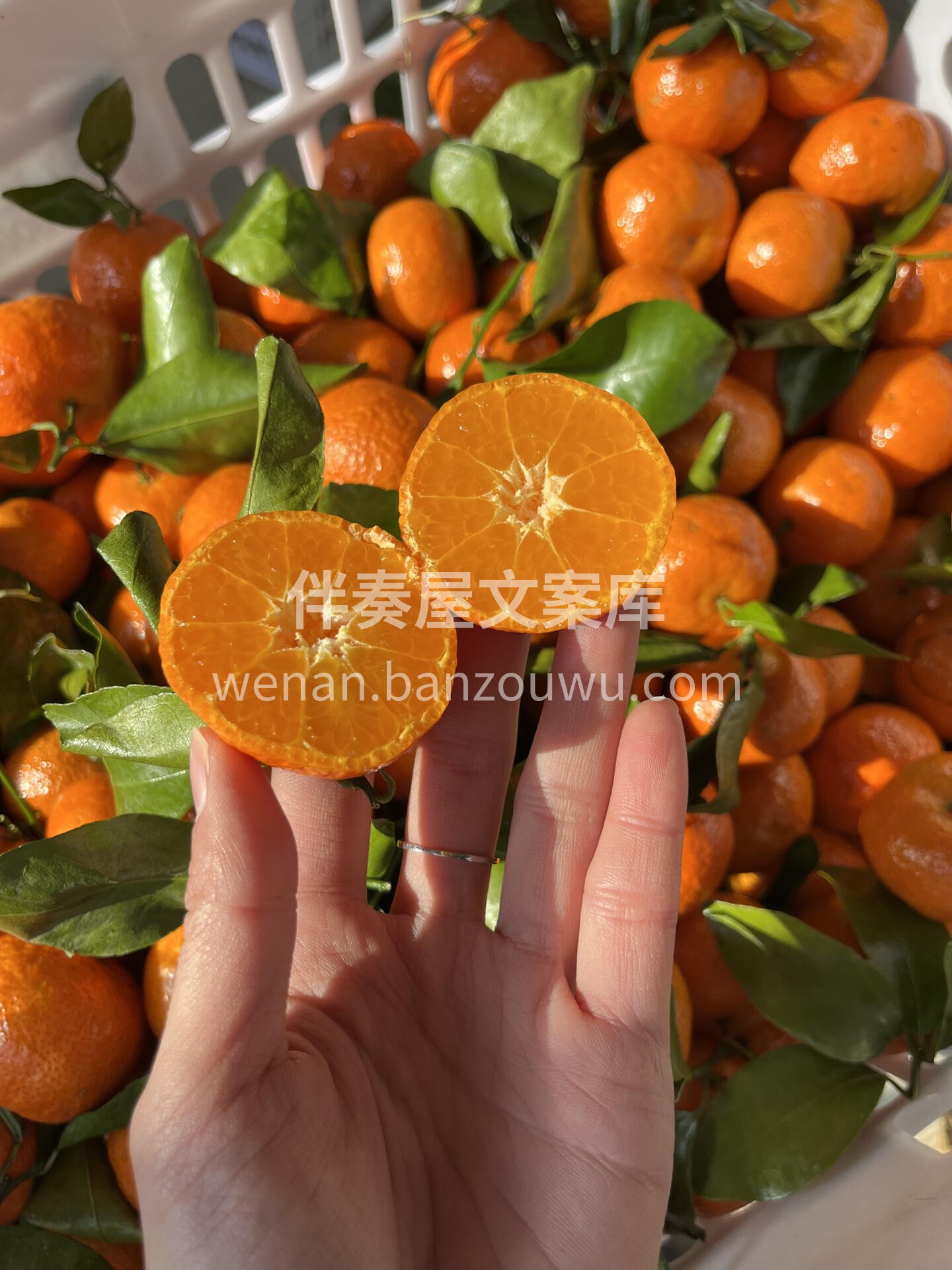 🍊砂糖橘开炫🙋 一份专属滋润💋~ 颜值高 配图1