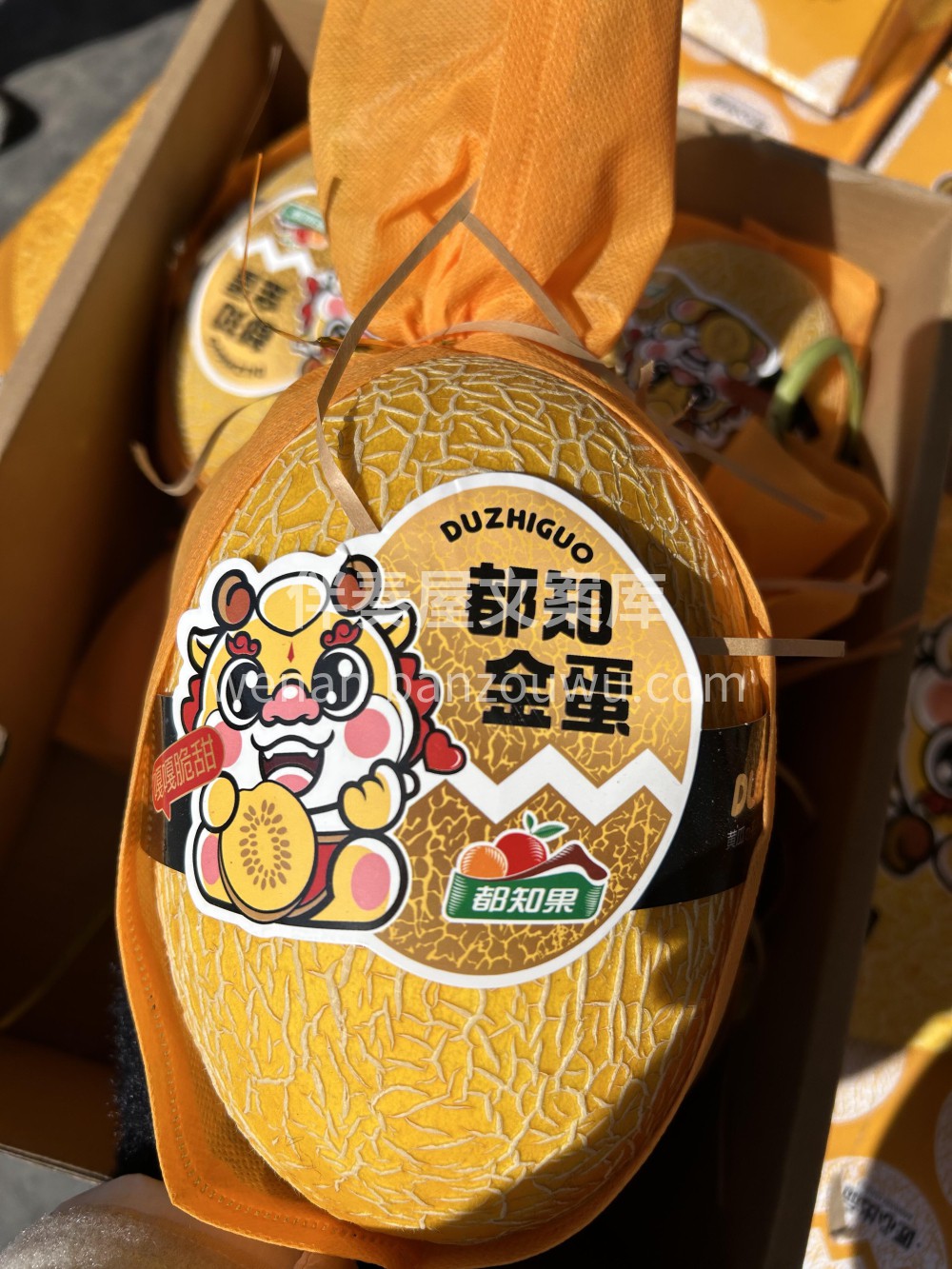 都知金蛋蜜瓜🍈比普通哈密瓜更脆更甜😋～  配图3