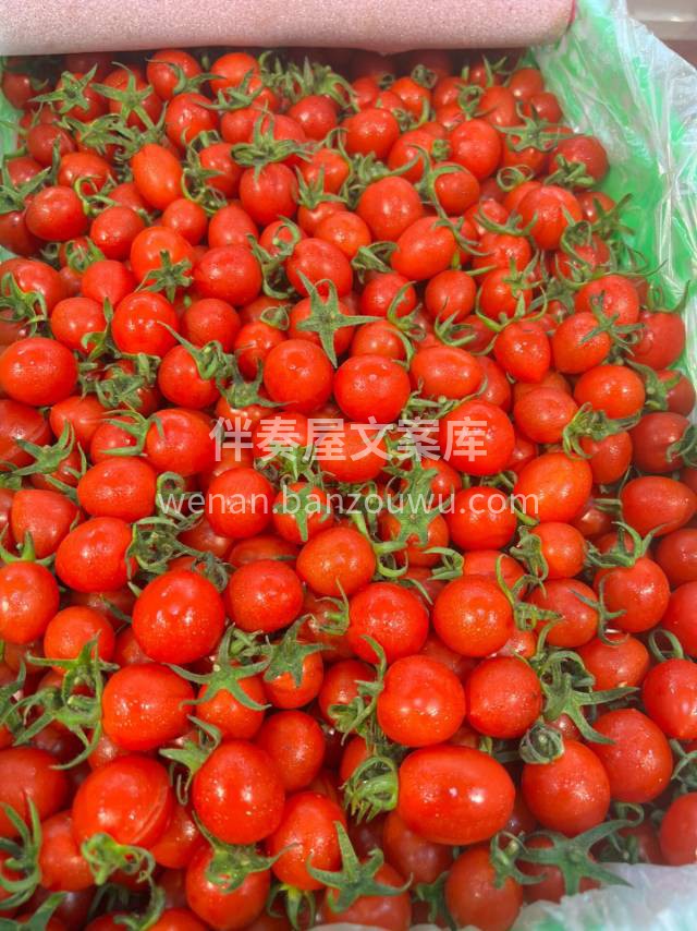 夏日的清凉～玲珑千禧果❤️ 色泽诱人，口 配图3