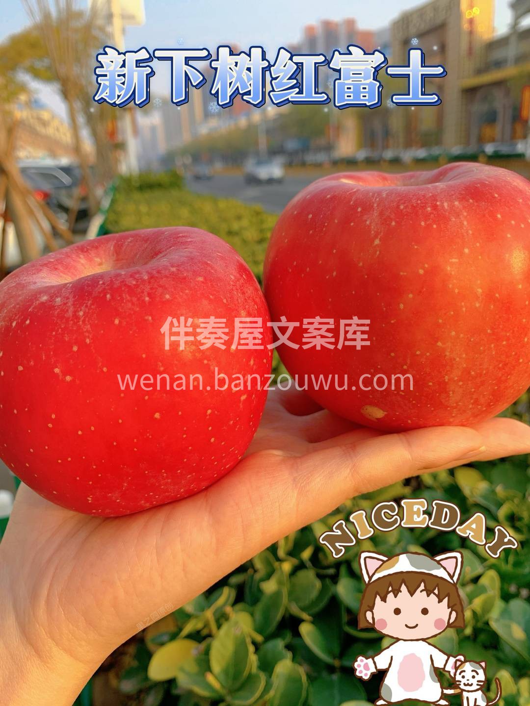 🍂一抹胭脂落在个大饱满的红富士上🍎 它看 配图1