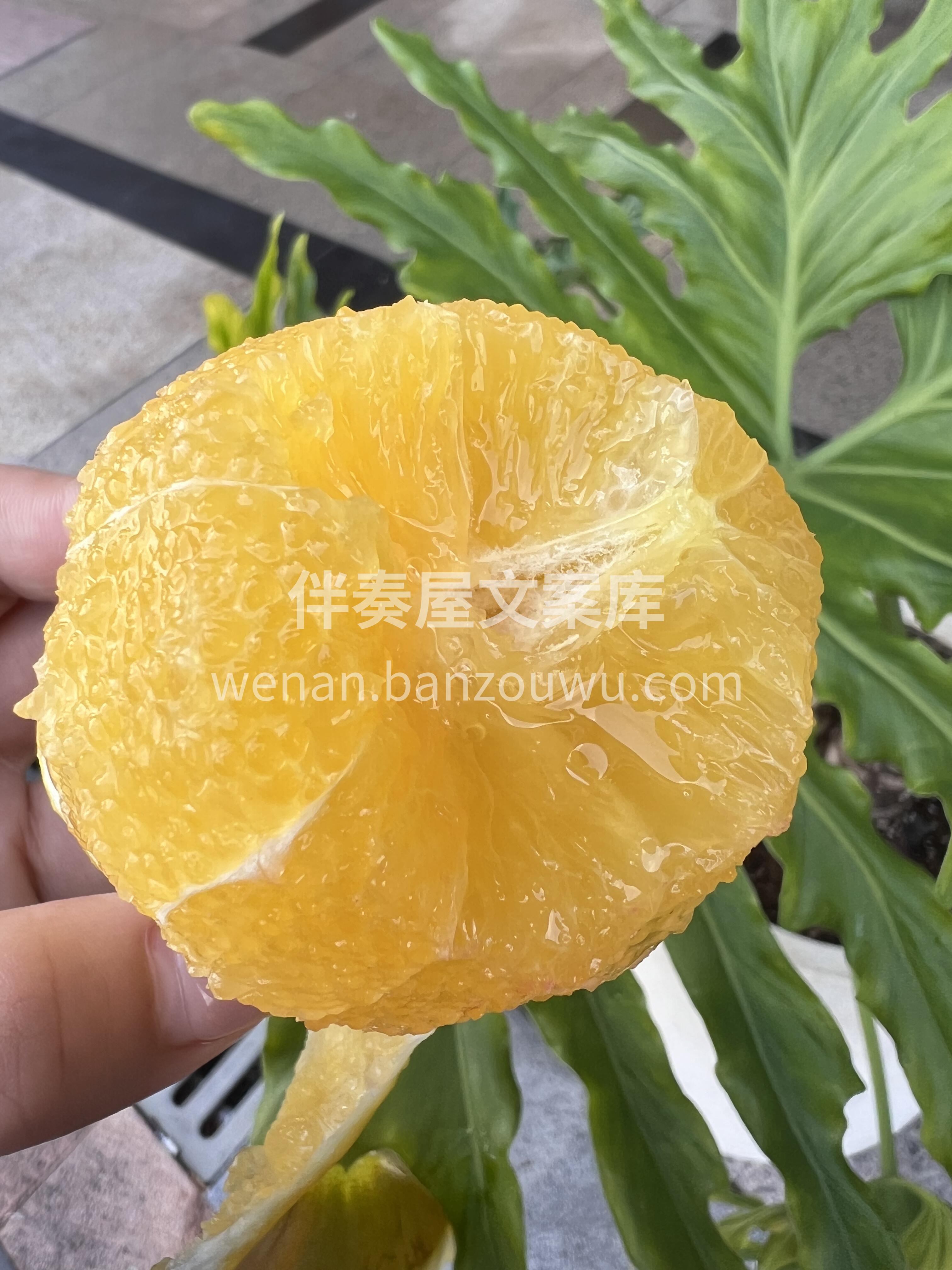 人生总有起落🌊，精神终可传承🙌——【励志 配图2