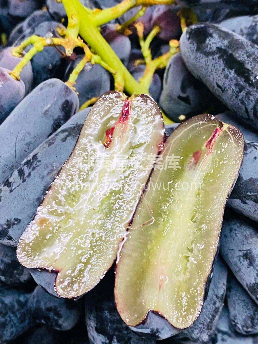 🍇味香四溢，皮脆多汁，果肉脆甜💥 口感不 配图1