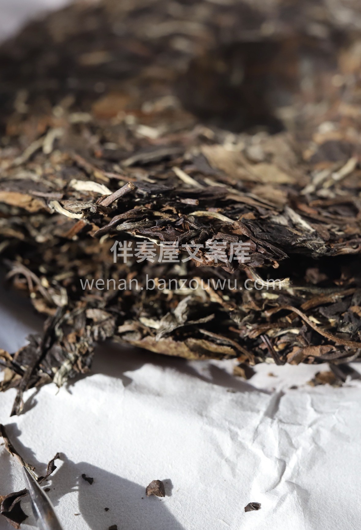 新春年货囤福鼎老白茶啦✨现在下单即可提前 配图1