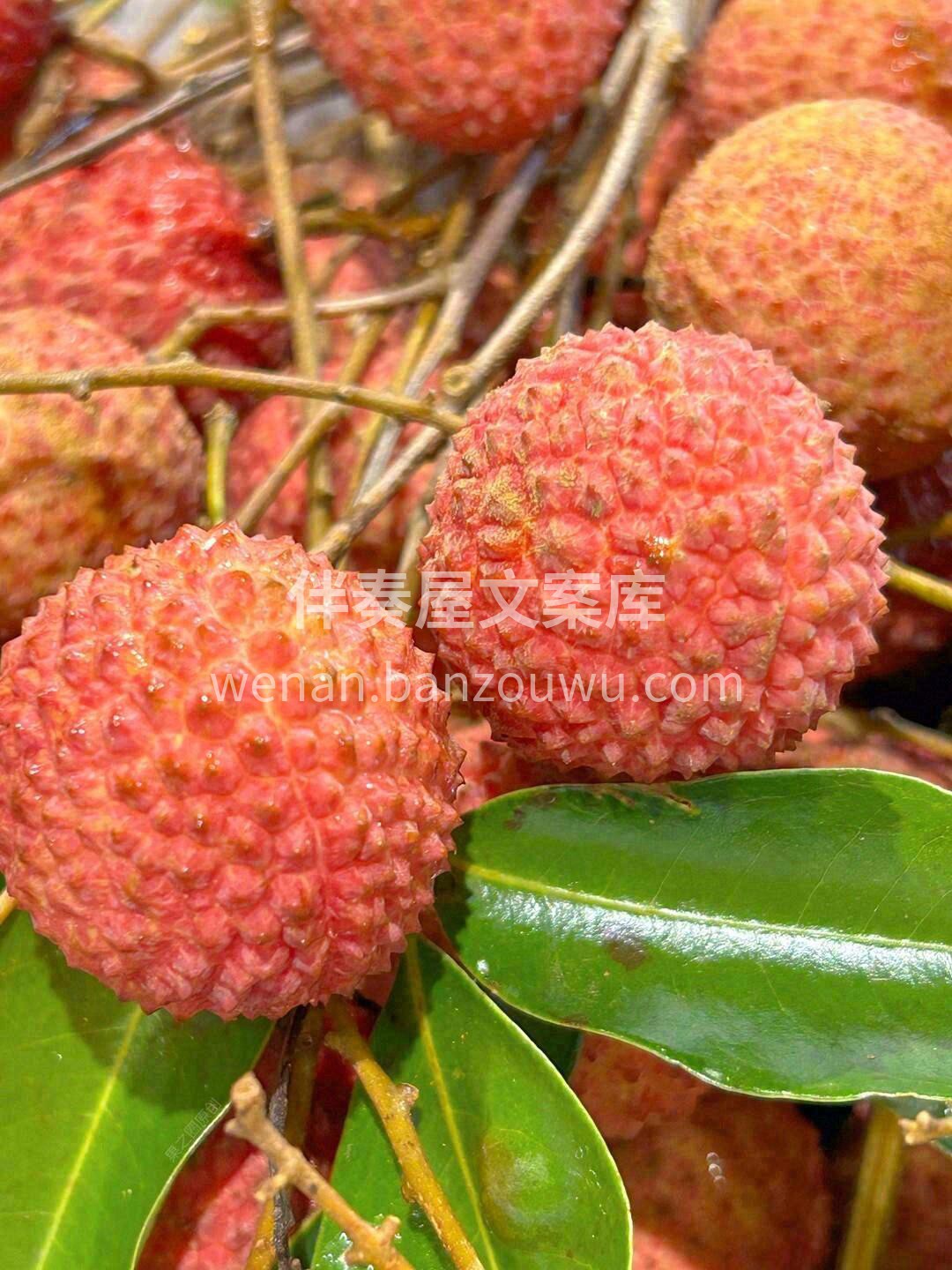 桂味荔枝🌈 因有桂花香而闻名🌸，品质极佳 配图2