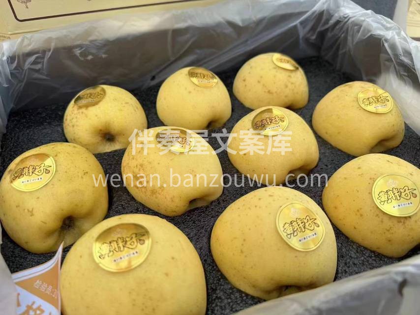 黄胖子·维纳斯苹果。金黄温和的色调，浓郁 配图2