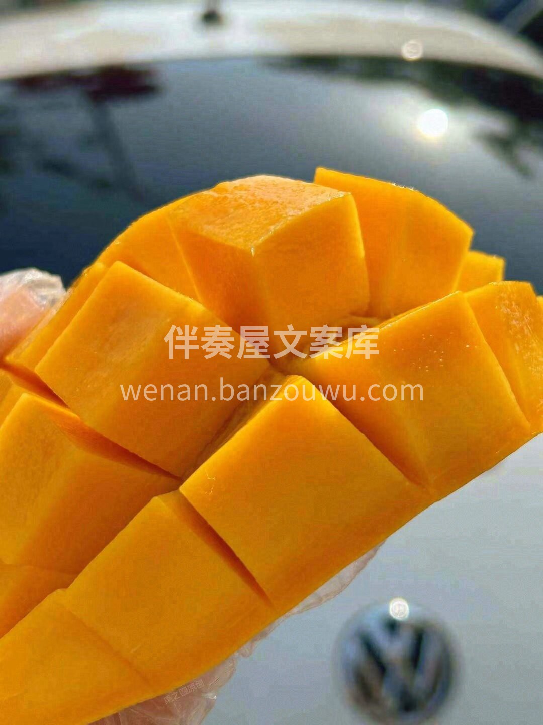 水仙芒✨ 一口应季芒果… 晒足了阳光☀️ 配图3