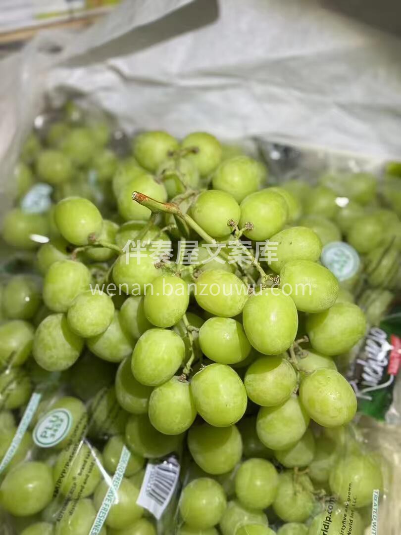 【秋天脆青提·冰糖炸弹】🍇 ✨3J果王级 配图1