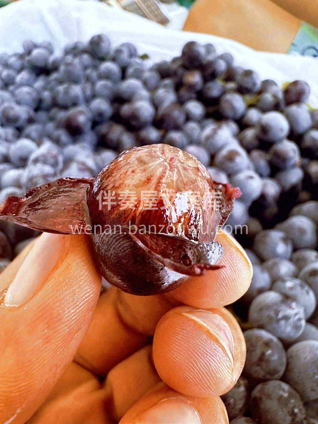 🍇乌黑的葡萄粒上覆着一层标榜着新鲜的白霜 配图1