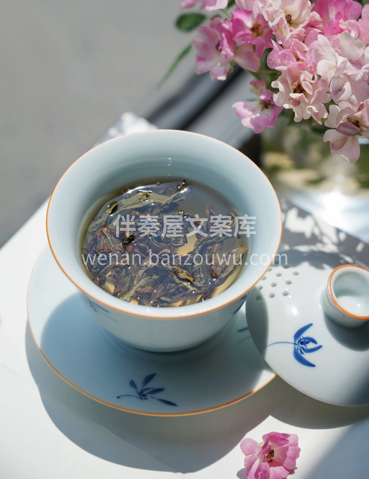 新春备年货，好茶选蒙顶黄芽✨ 蒙顶山茶韵 配图2